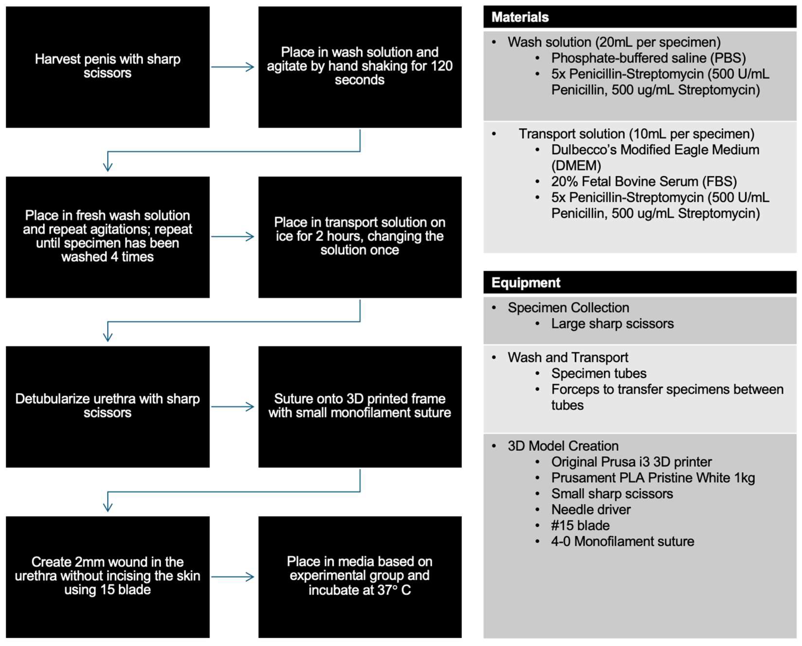 Mps 08 00096 g001 Mps 08 00096 g001