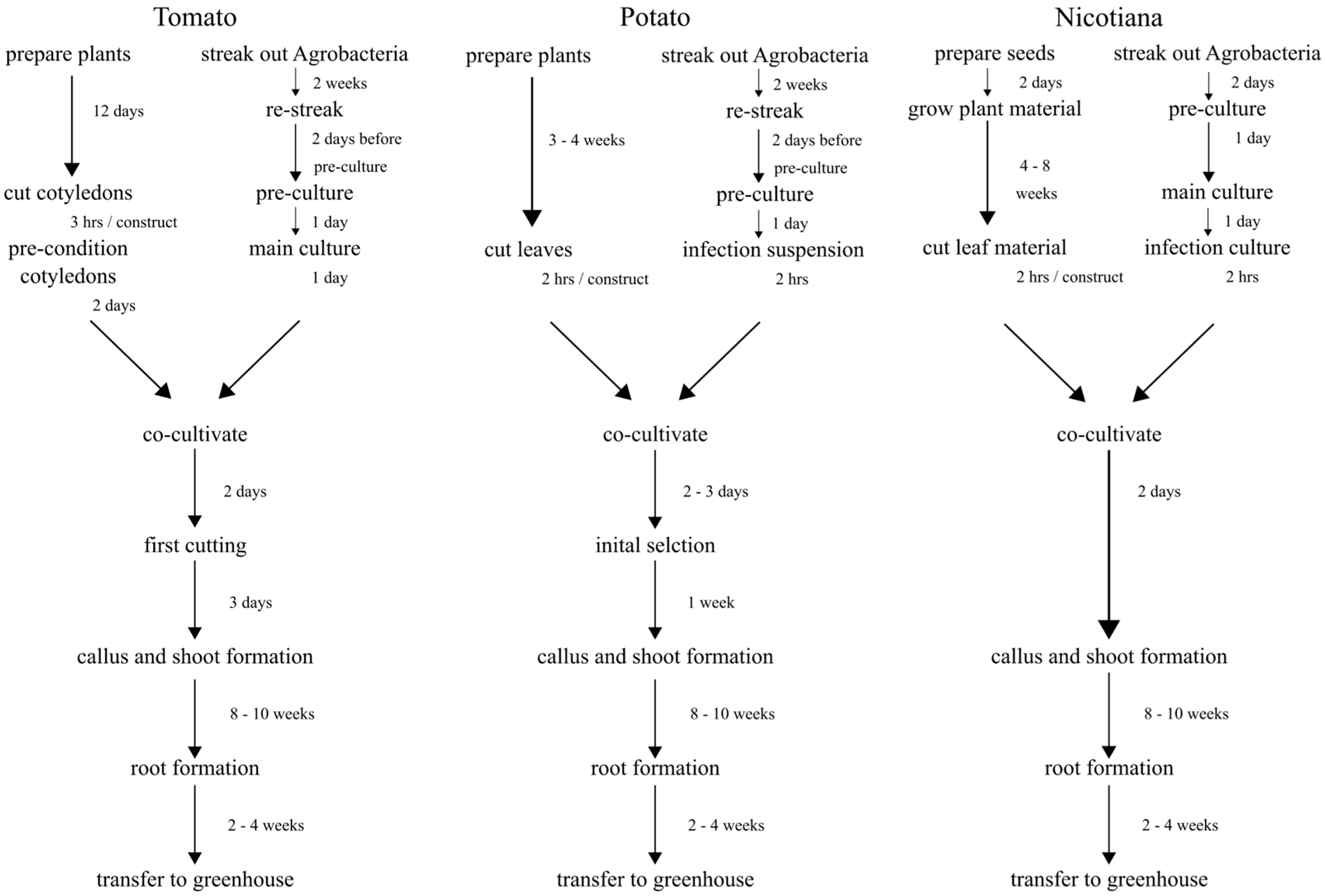 Mps 08 00107 g001 Mps 08 00107 g001
