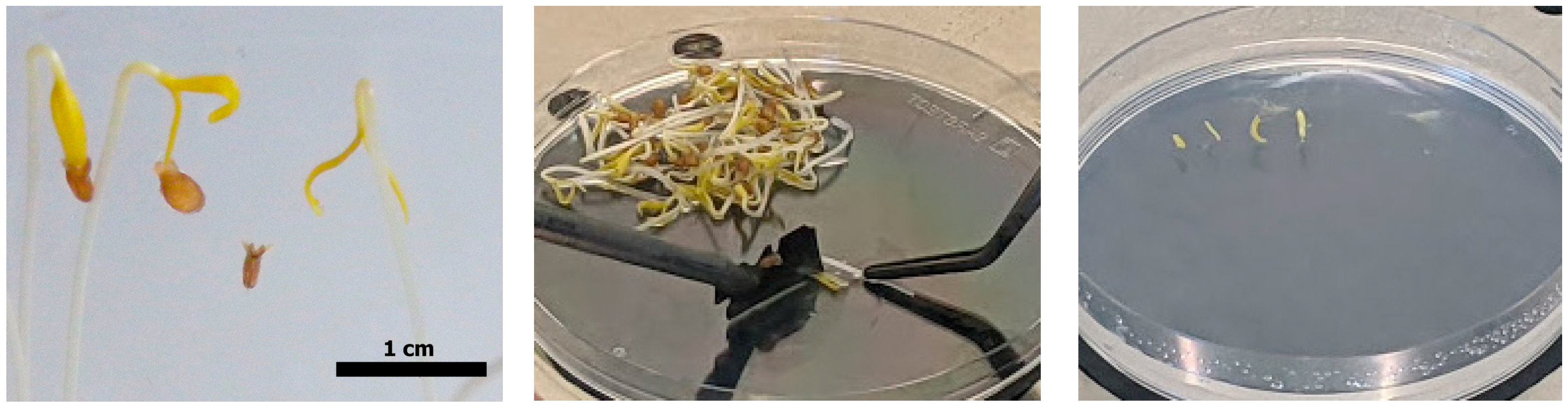 Mps 08 00107 g003 Mps 08 00107 g003