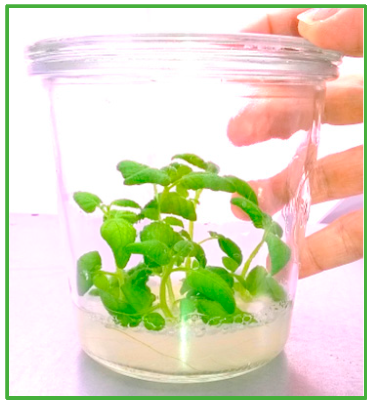 Mps 08 00107 g004 Mps 08 00107 g004