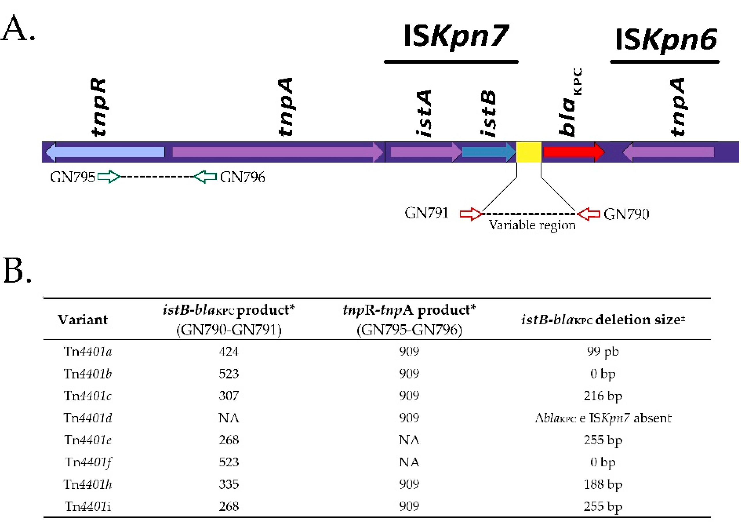 Msf 12 00033 g001 Msf 12 00033 g001