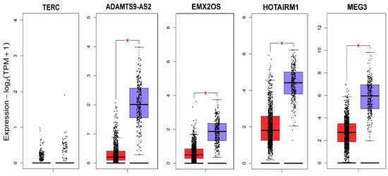 Msf 21 00007 g002 550