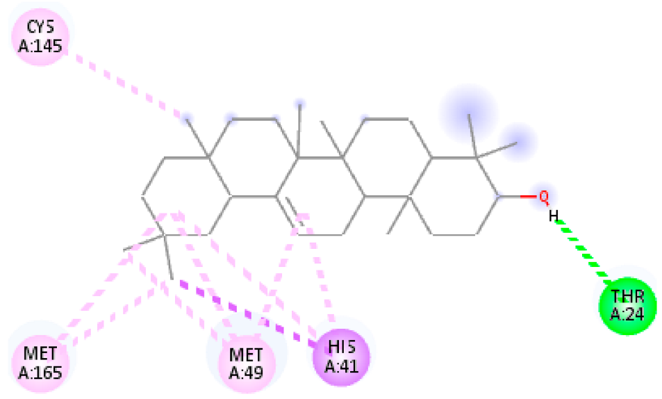 Msf 21 00045 i004 Msf 21 00045 i004