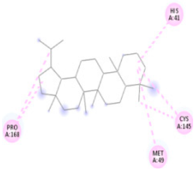 Msf 21 00045 i007 Msf 21 00045 i007