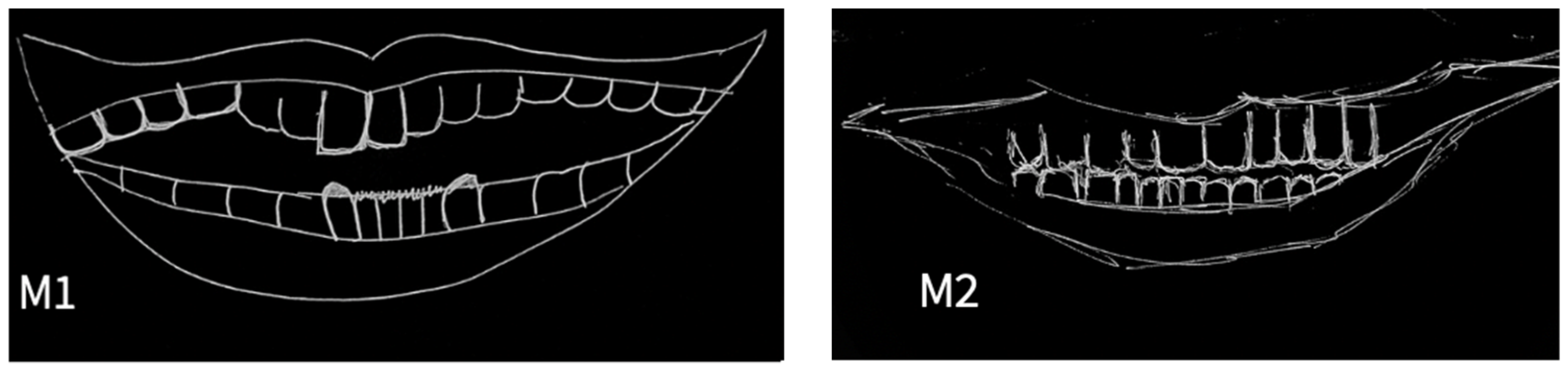 Msf 22 00005 g001 Msf 22 00005 g001