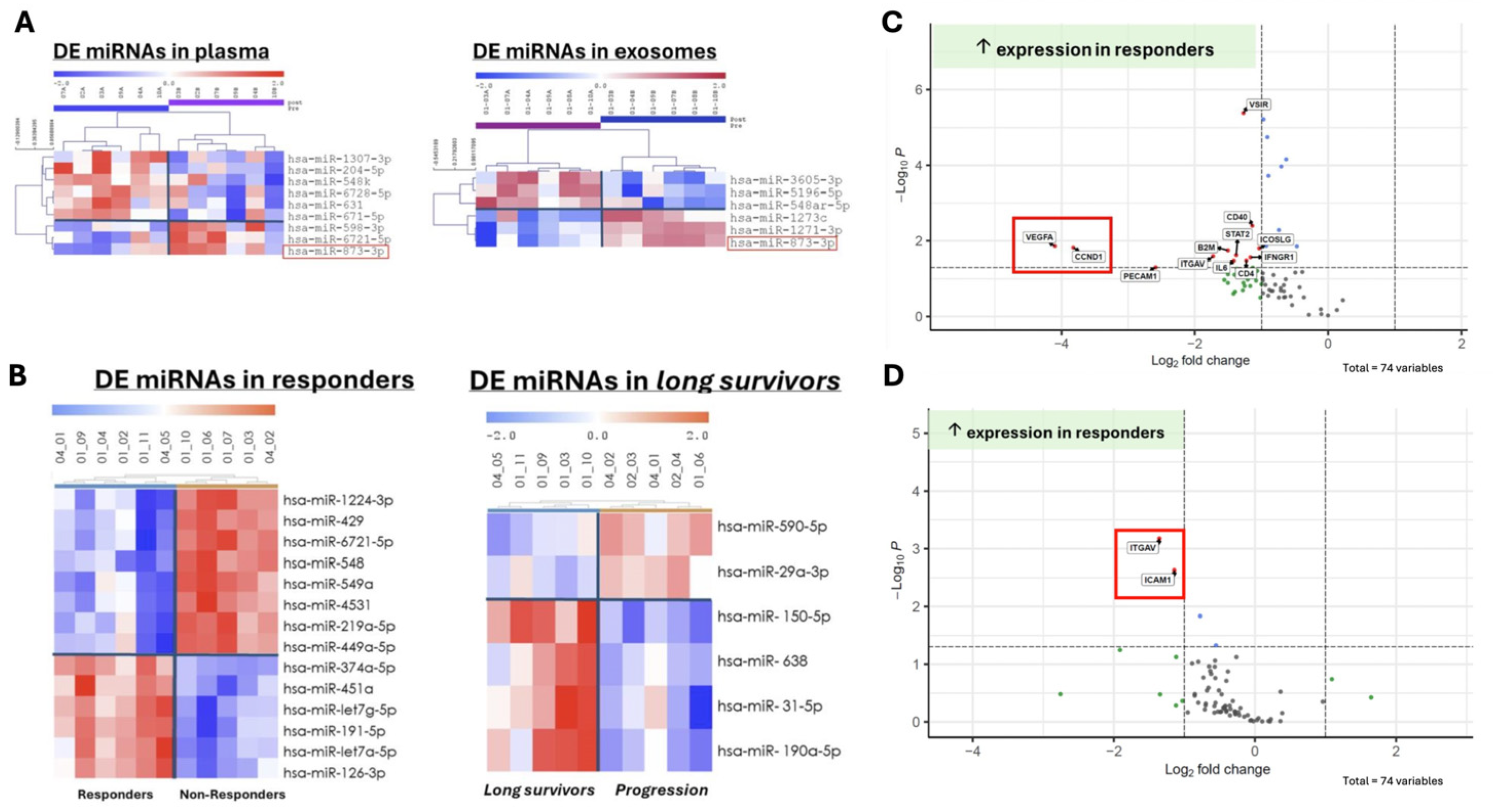 Msf 39 00004 g002 Msf 39 00004 g002