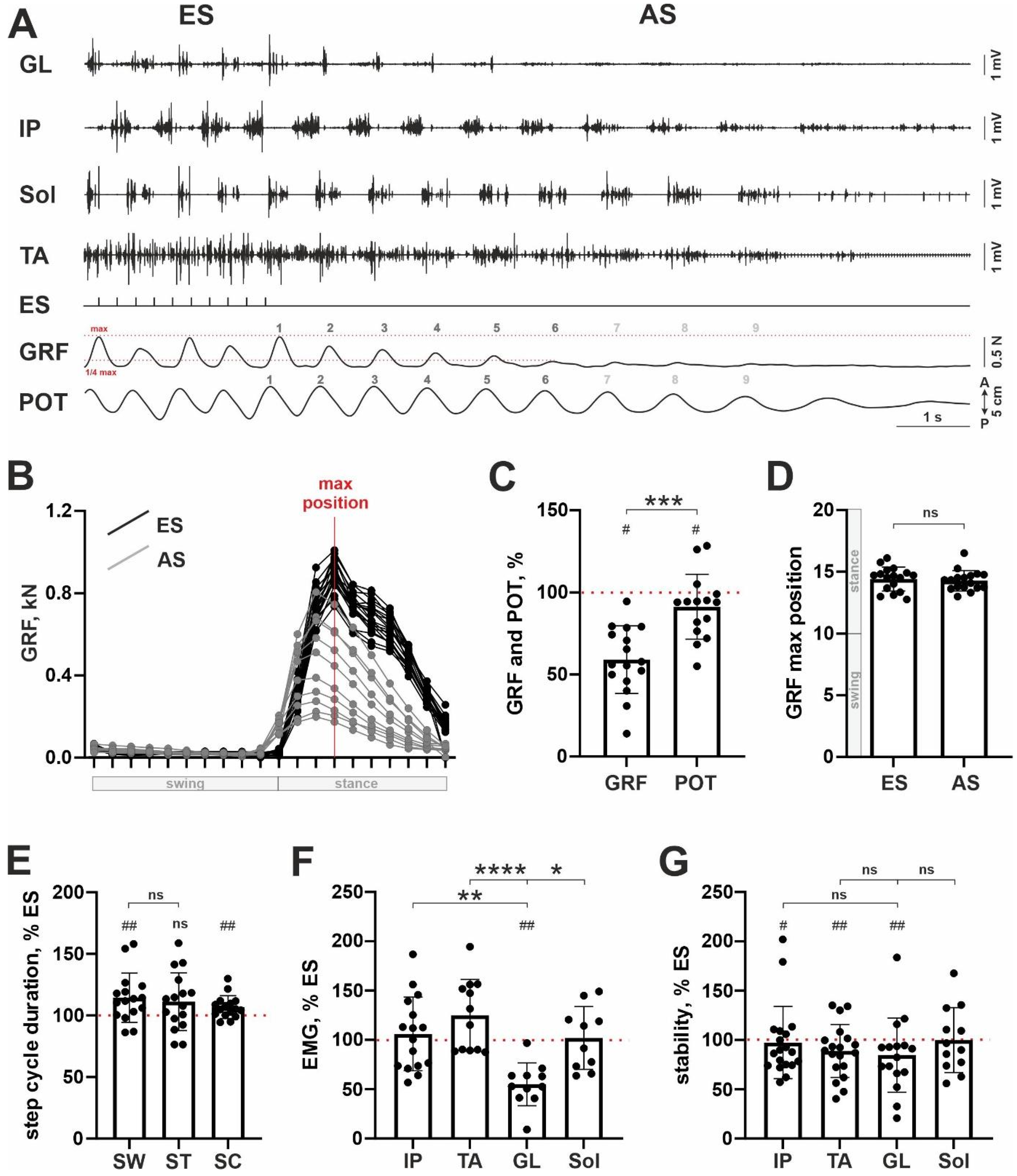 Muscles 01 00011 g002