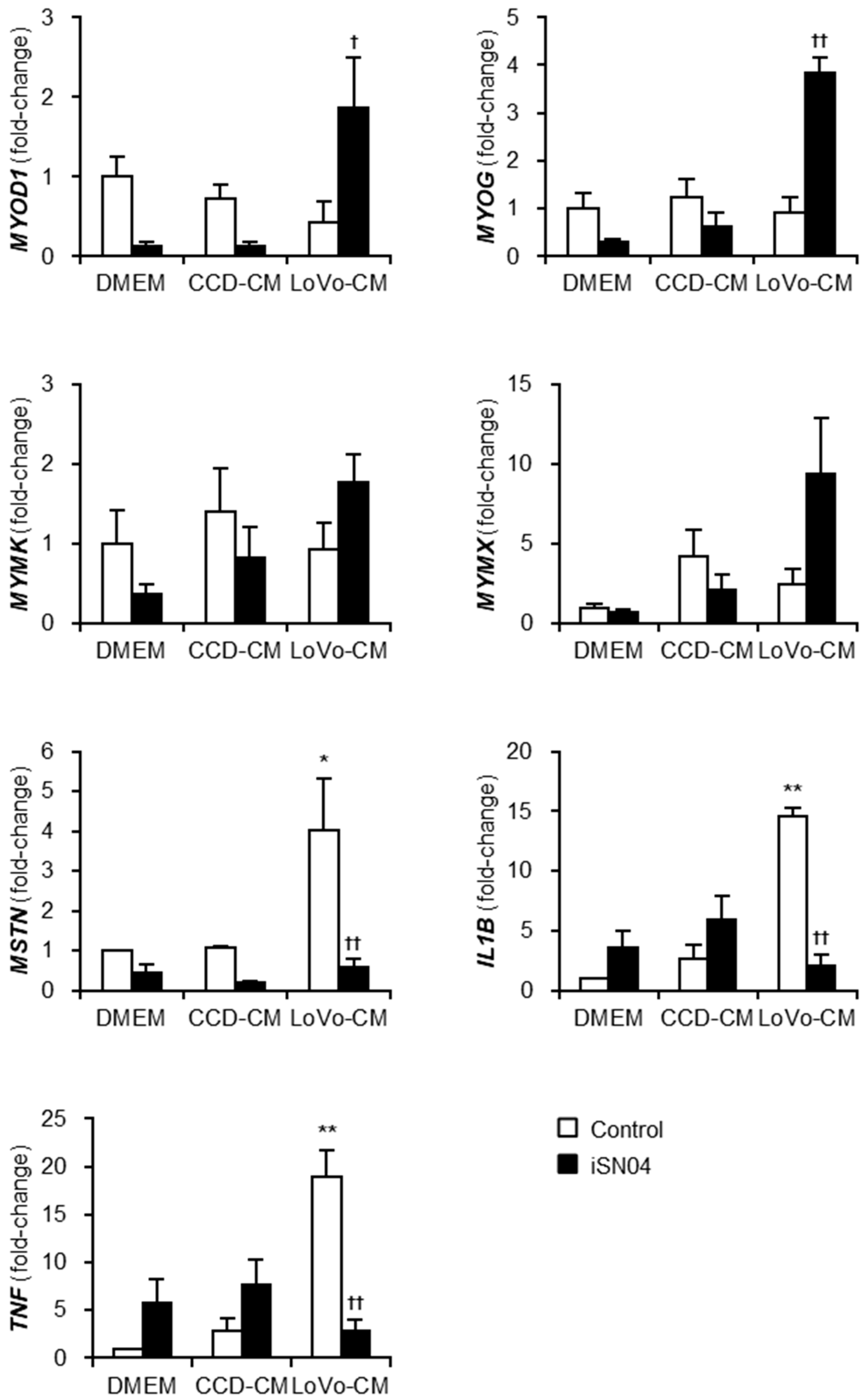 Muscles 01 00012 g003