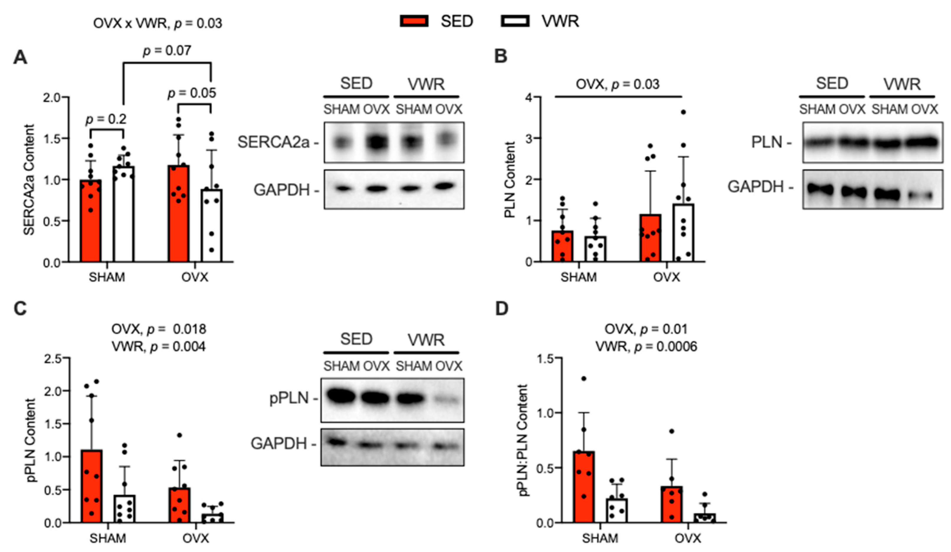 Muscles 01 00016 g004