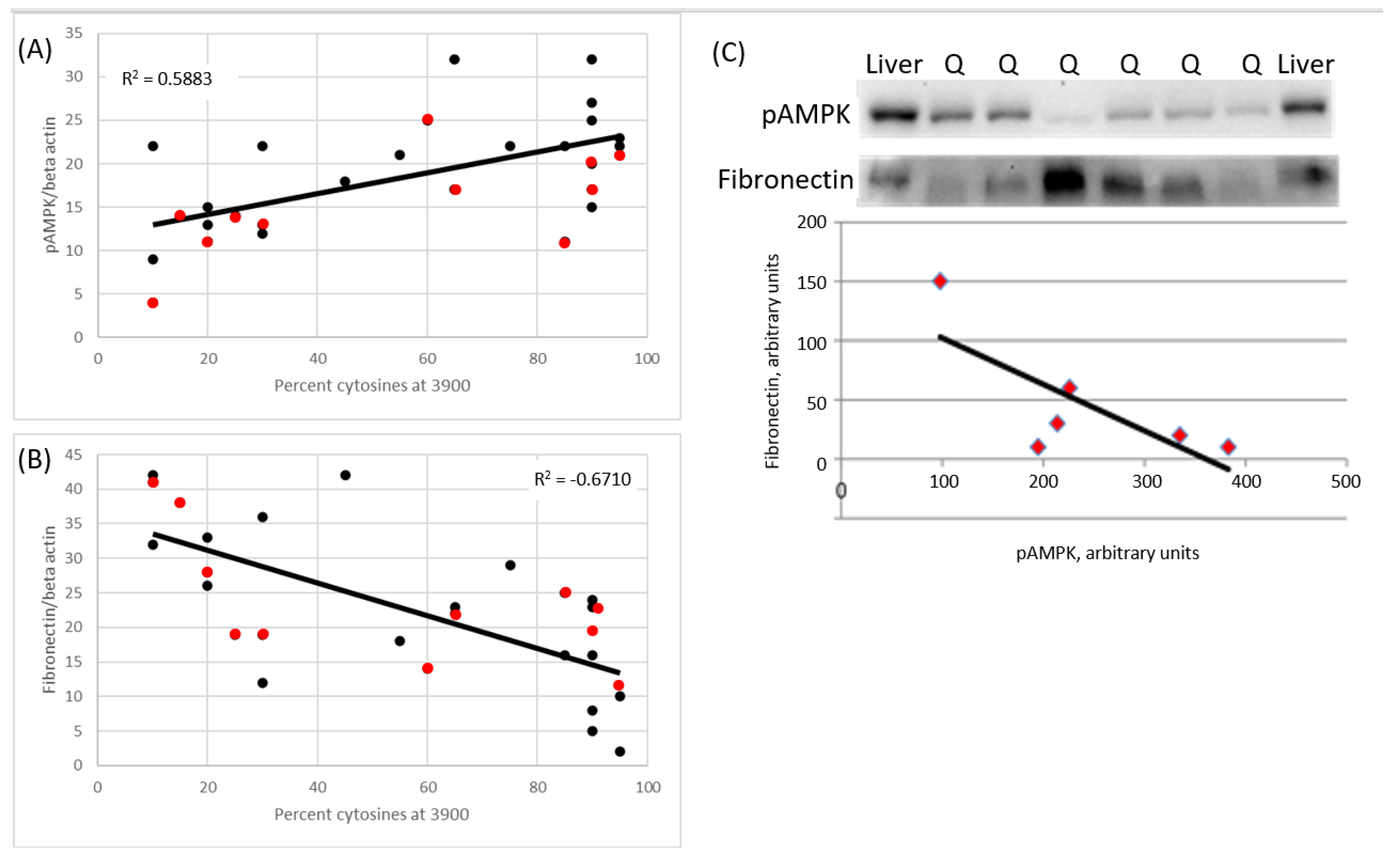 Muscles 02 00005 g006