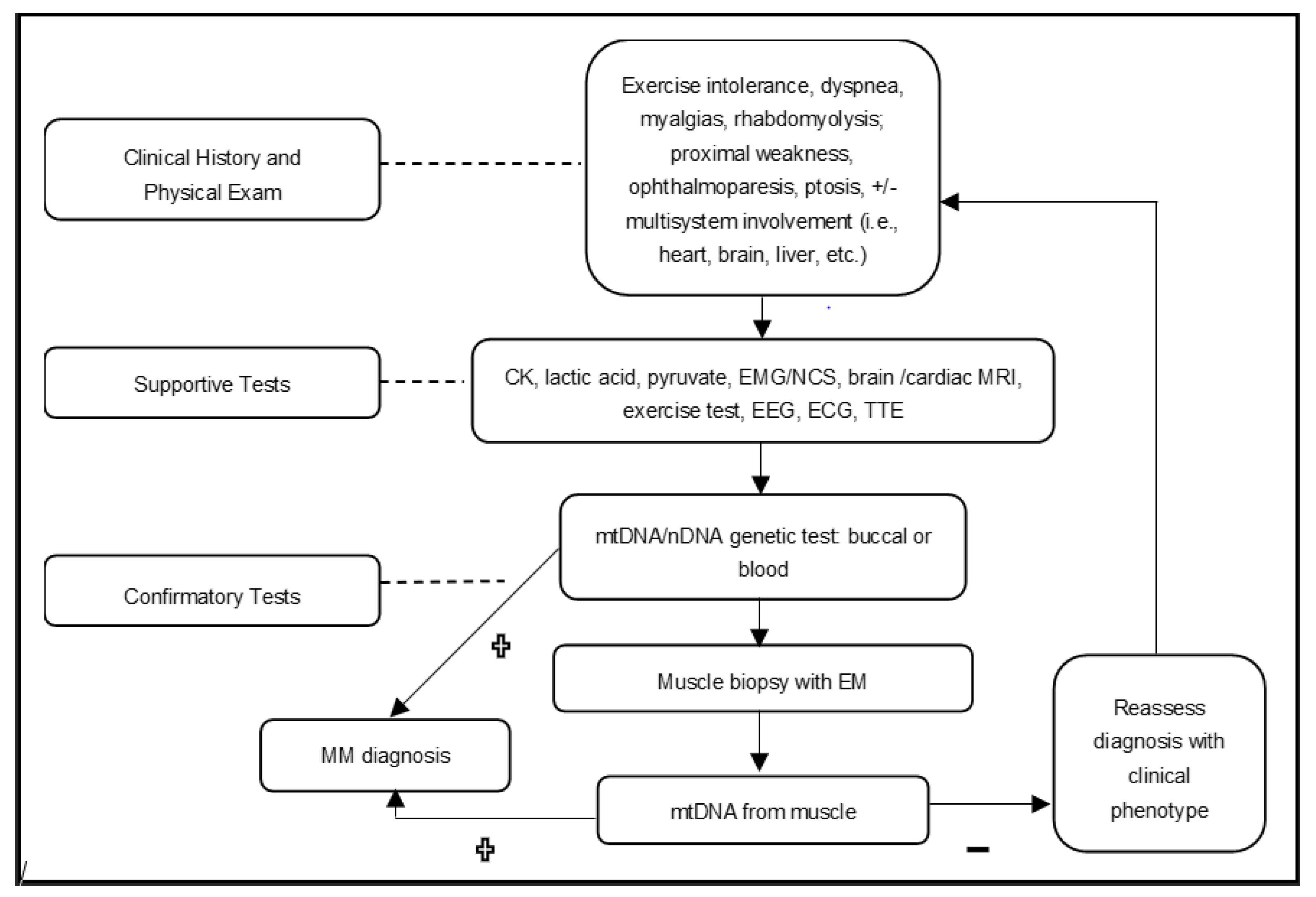 Muscles 02 00007 g001 Muscles 02 00007 g001
