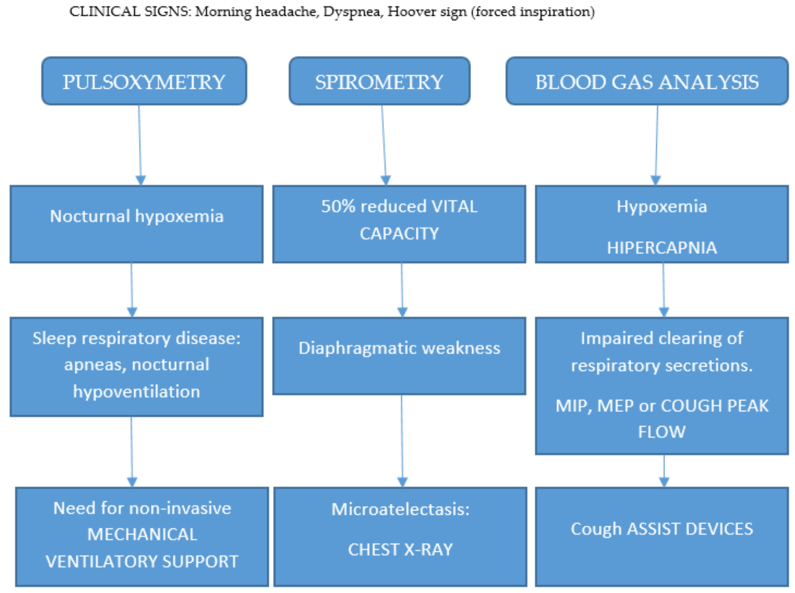 Muscles 02 00012 g004 Muscles 02 00012 g004