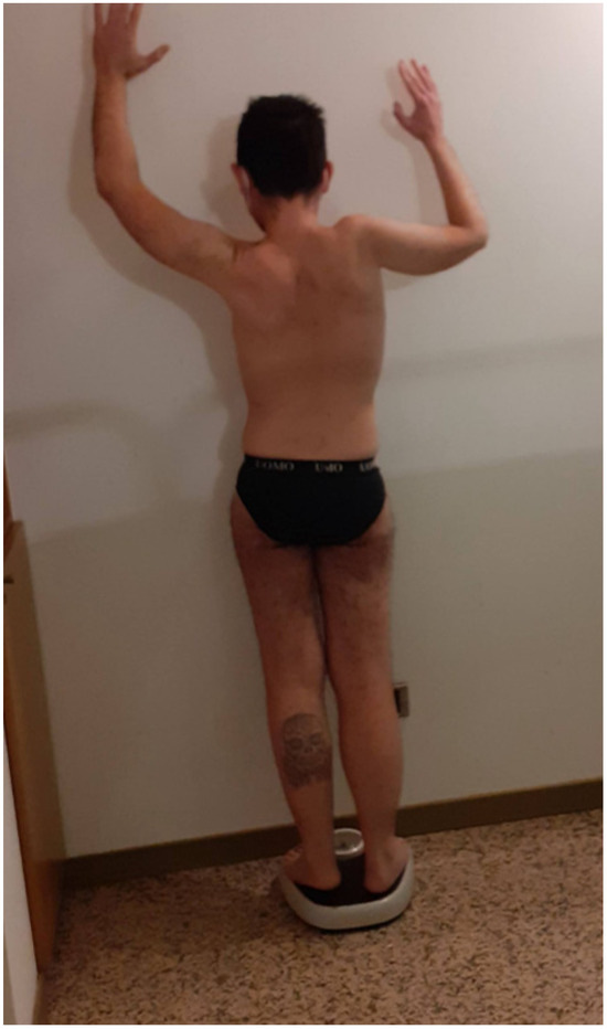 Muscles 02 00013 g002