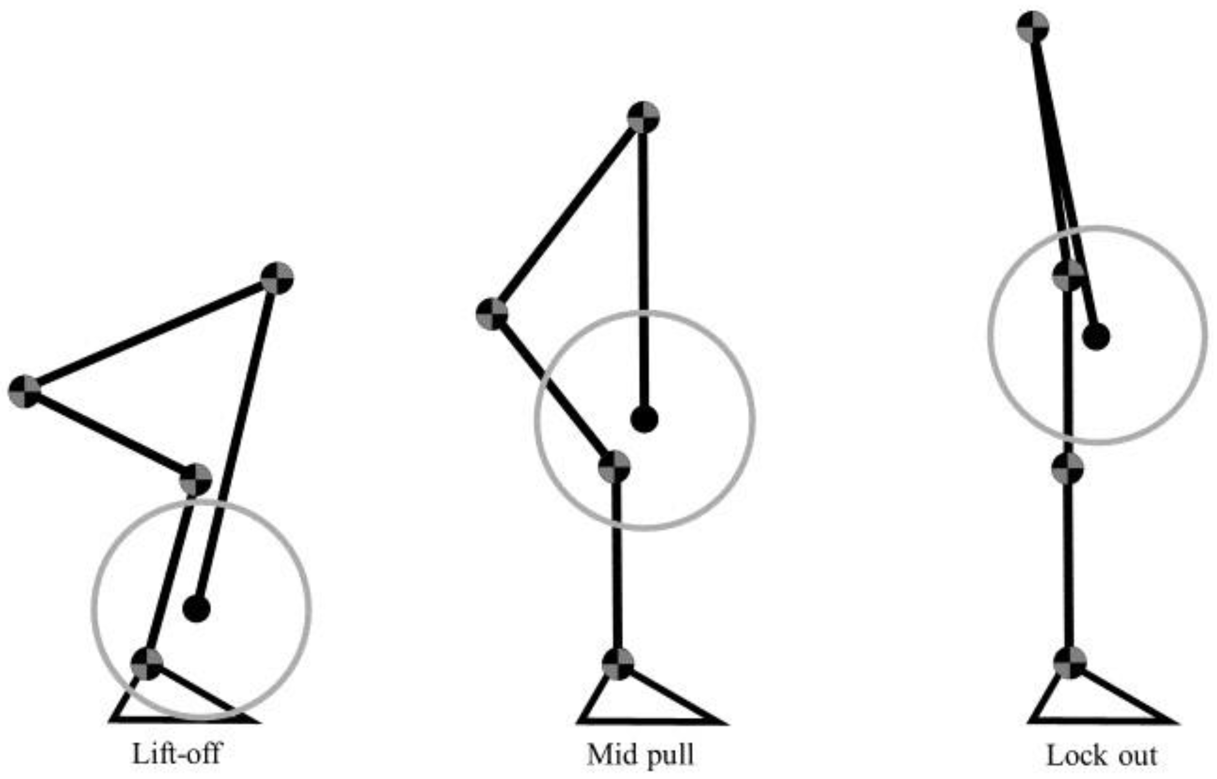 Muscles 02 00016 g003