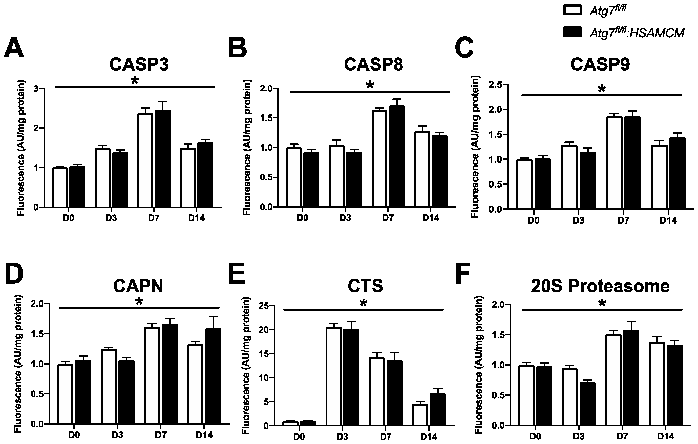Muscles 02 00023 g008