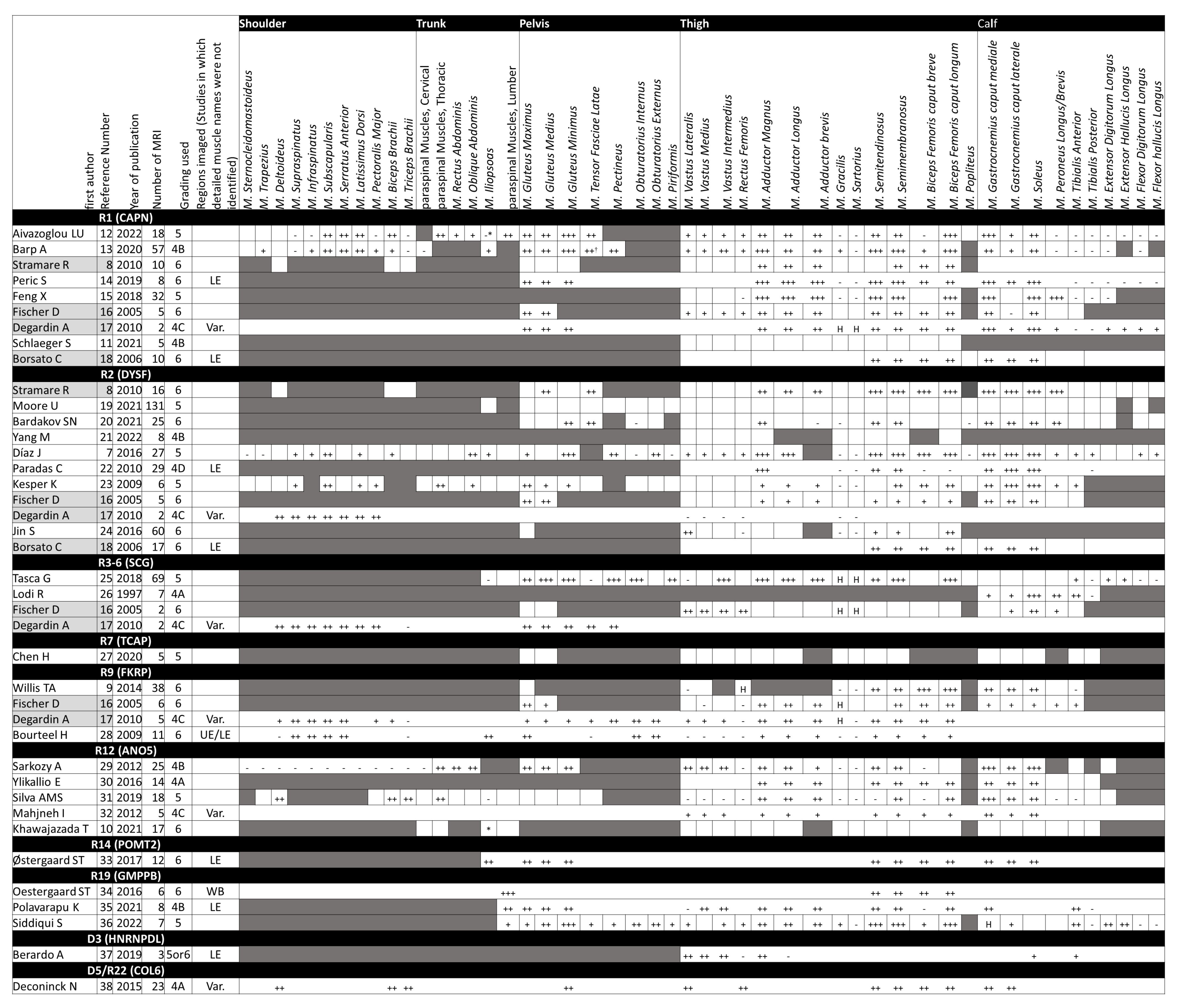 Muscles 02 00029 g003