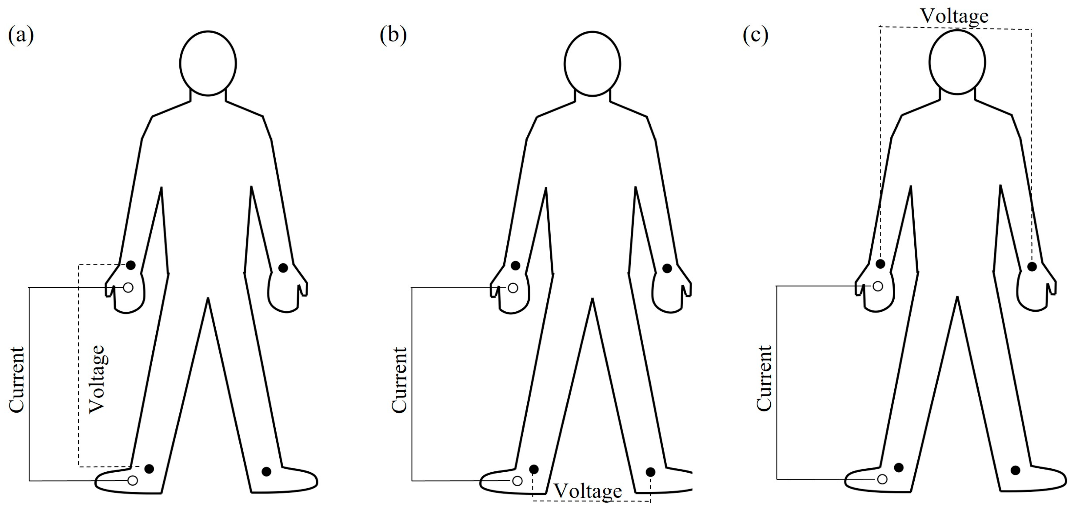 Muscles 02 00031 g002
