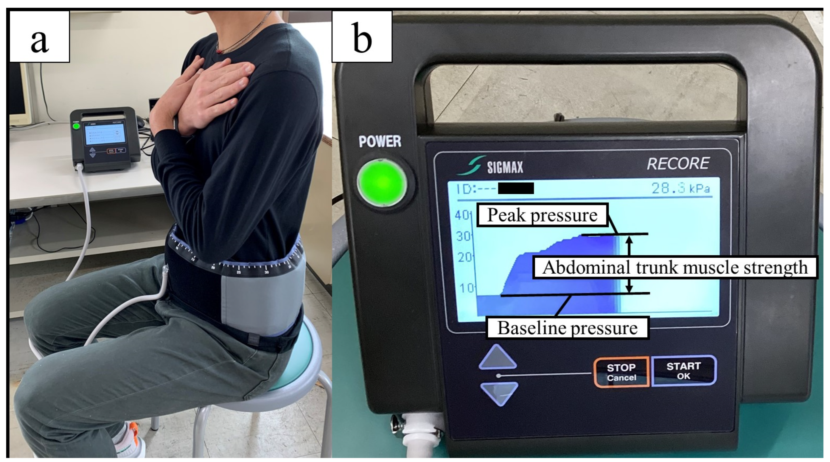 Muscles 03 00007 g002