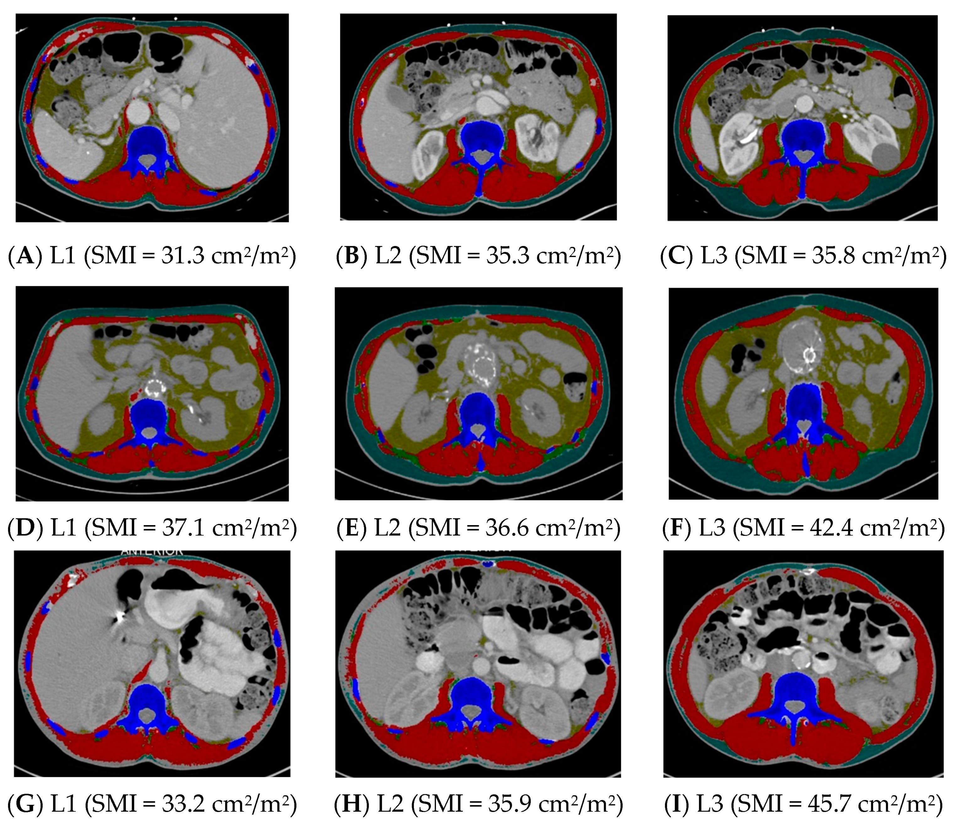 Muscles 03 00012 g001
