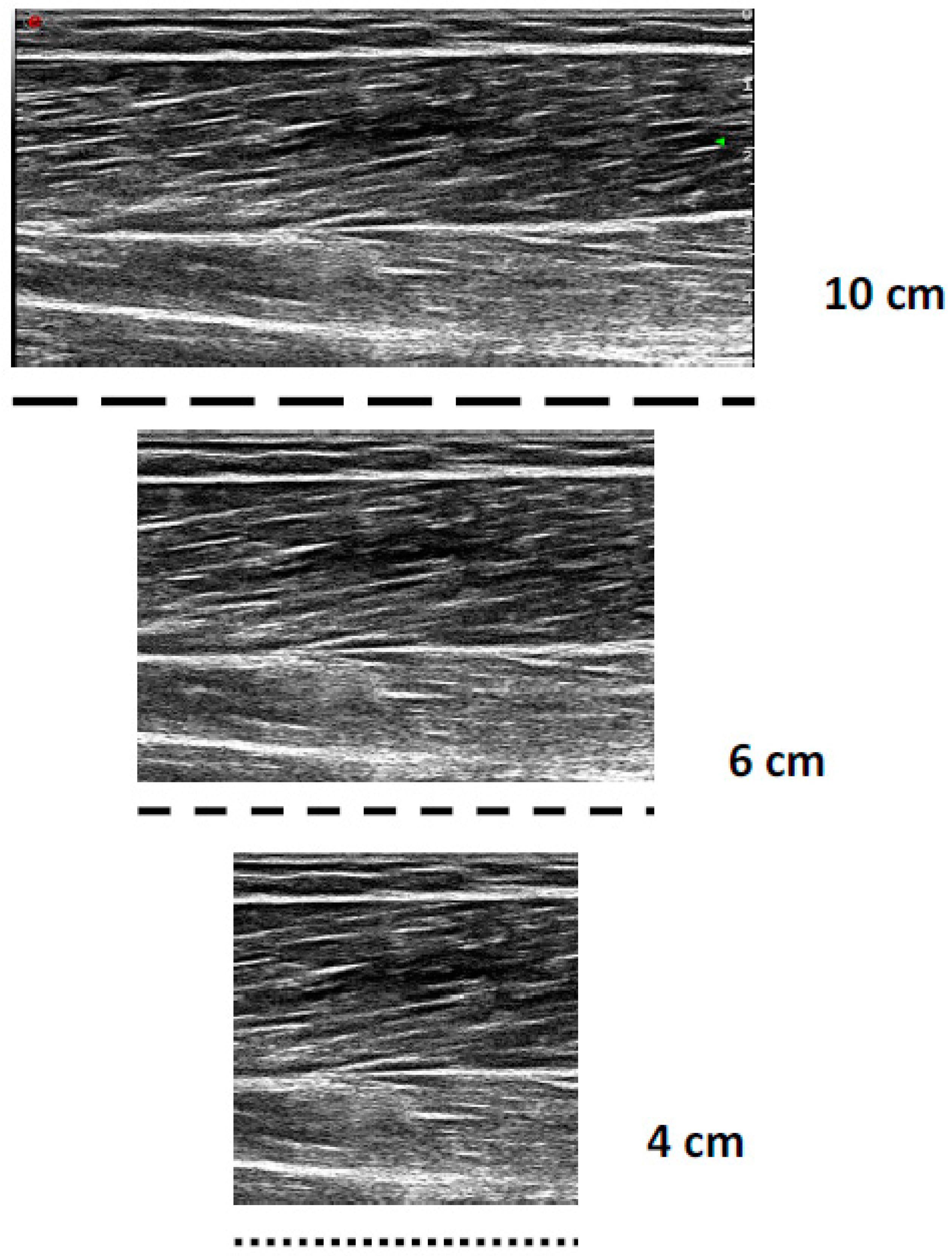 Muscles 03 00014 g001