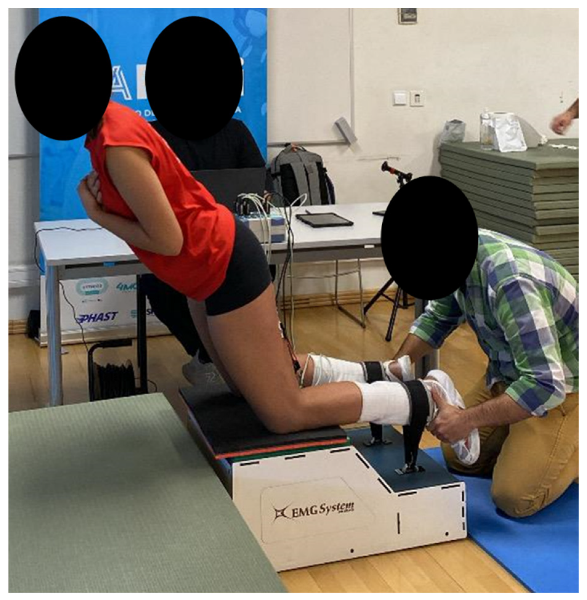 Muscles 03 00023 g001