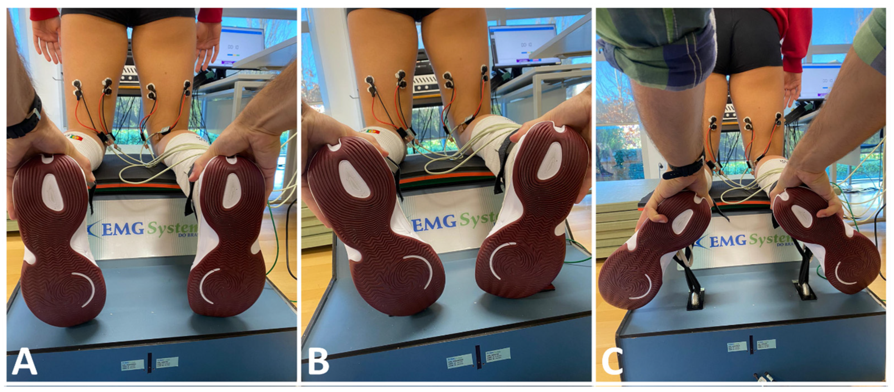 Muscles 03 00023 g002