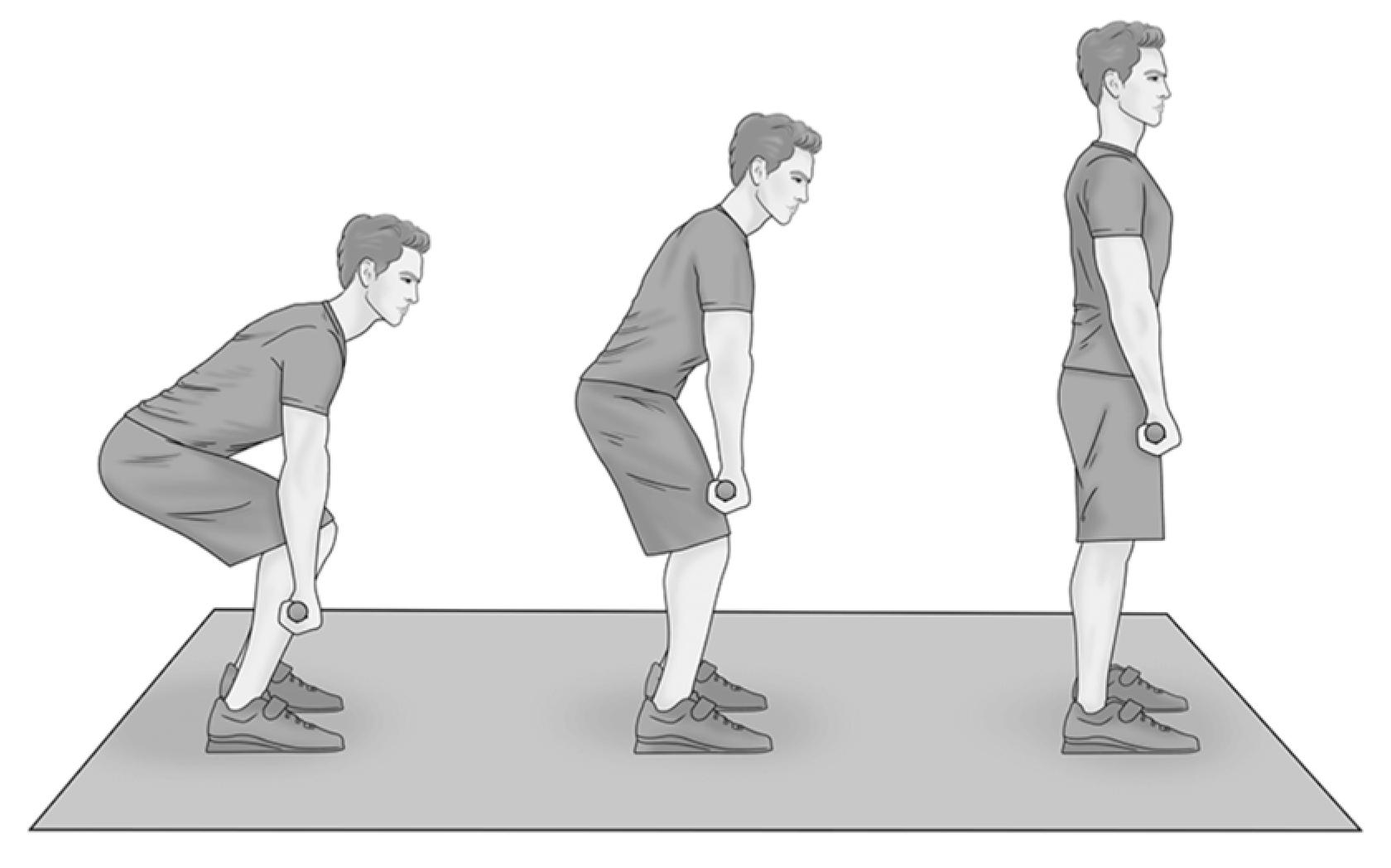 Muscles 03 00029 g002