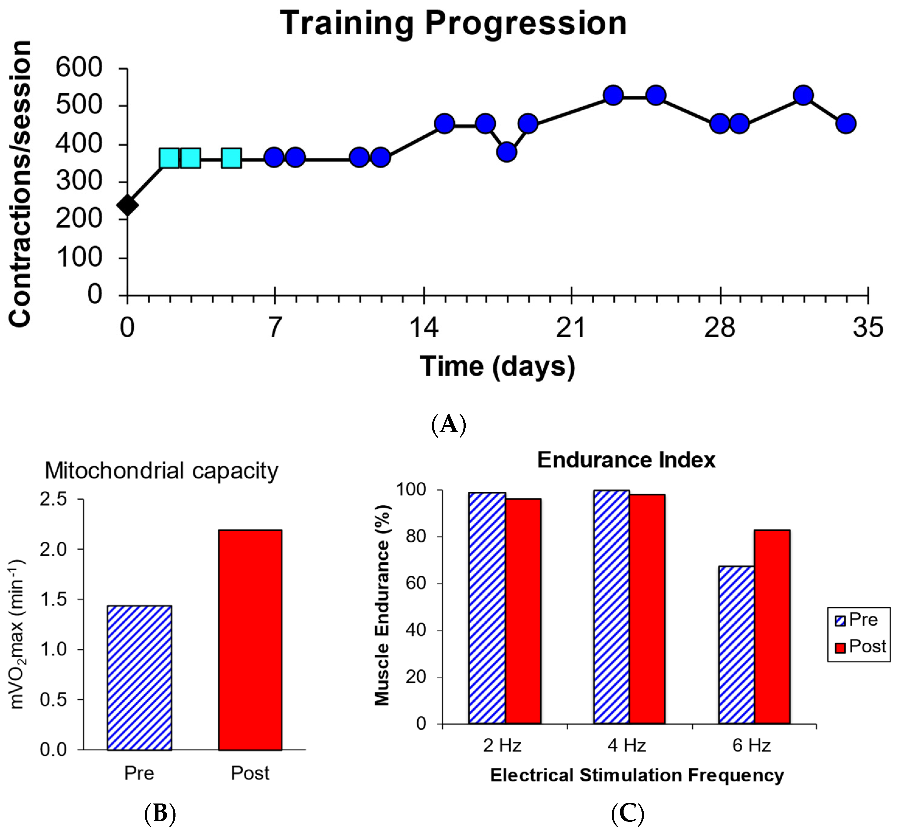 Muscles 03 00033 g002
