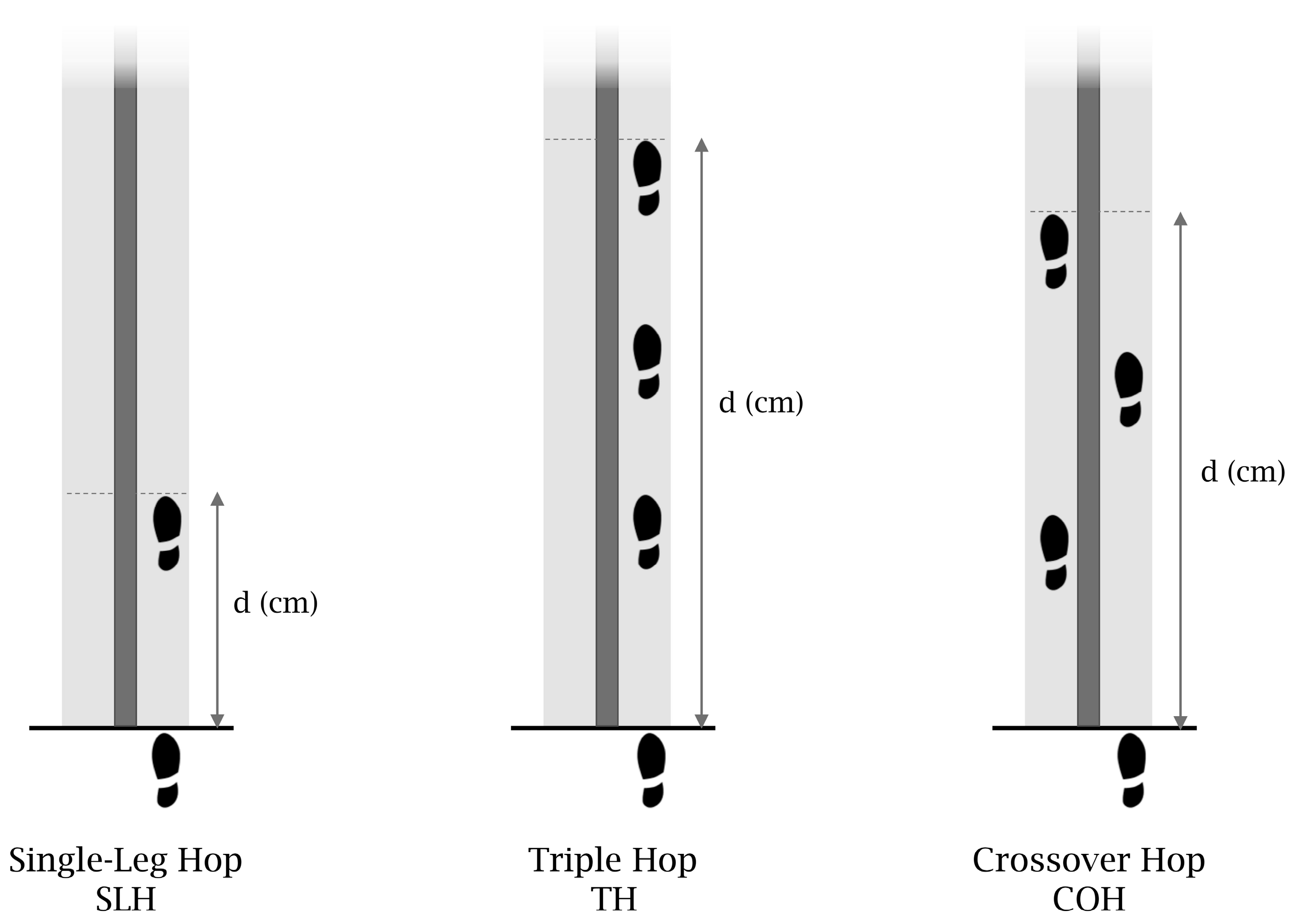 Muscles 04 00003 g001