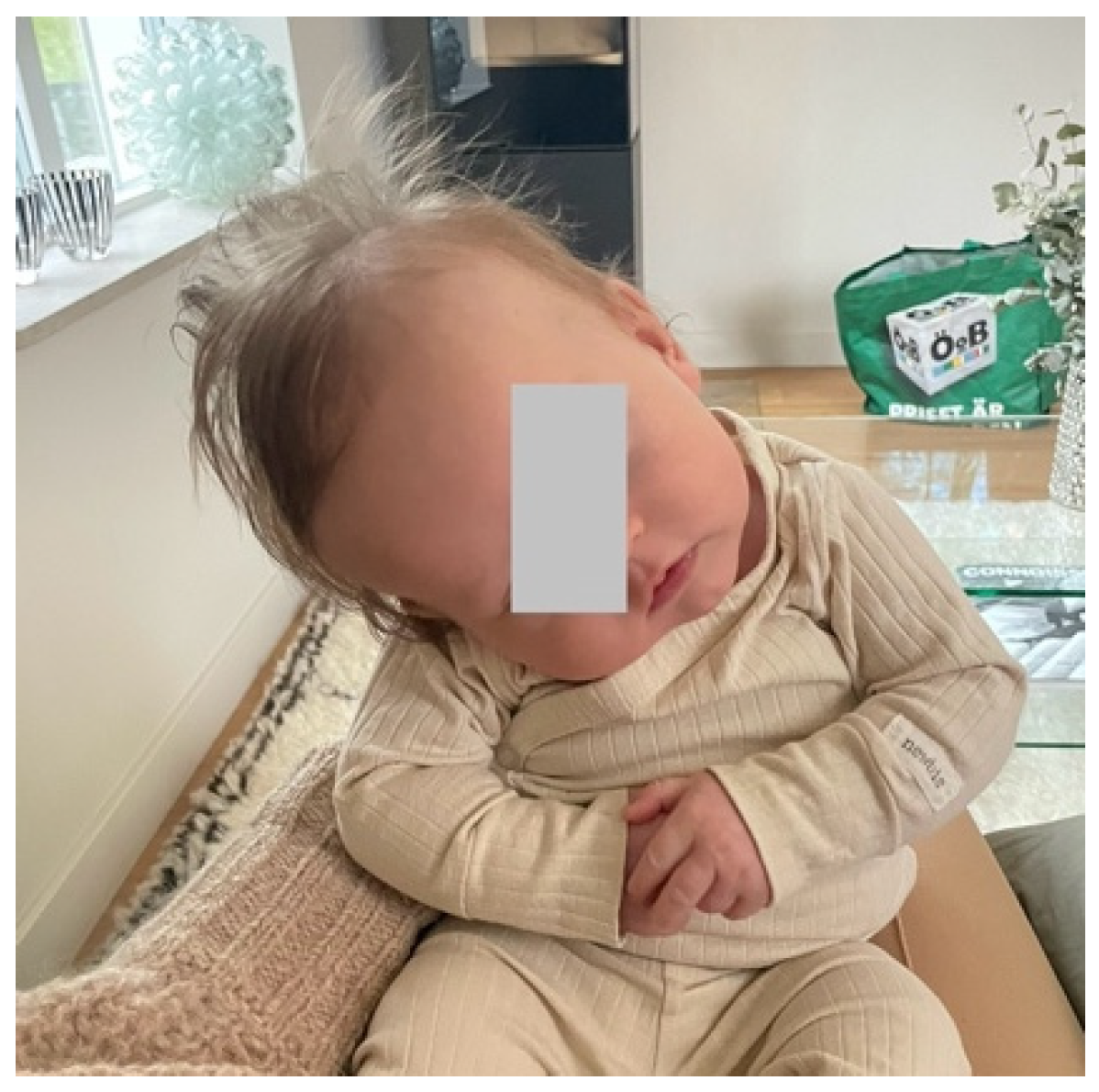 Muscles 04 00013 g001