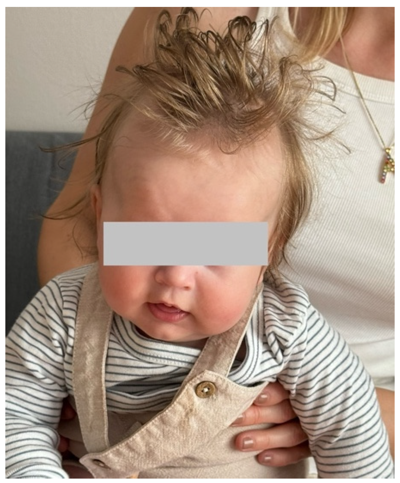 Muscles 04 00013 g002