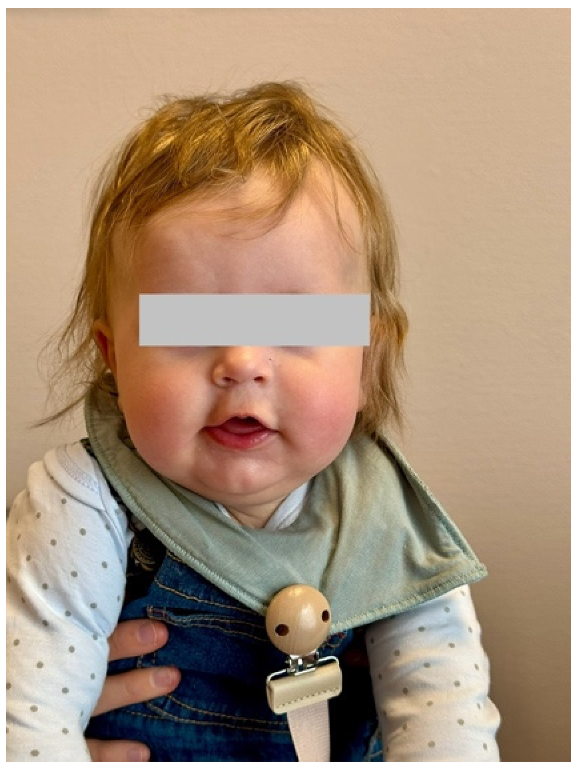 Muscles 04 00013 g003