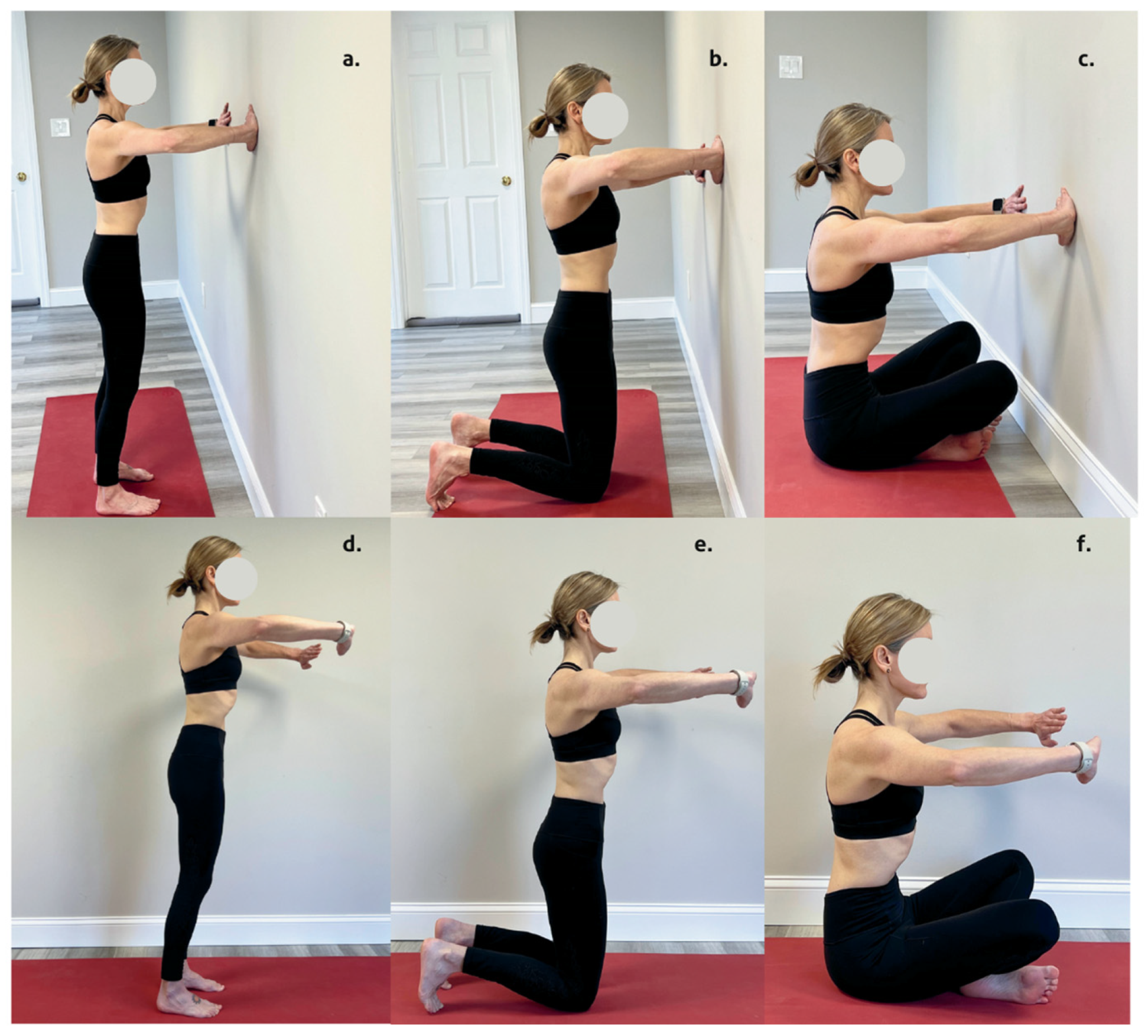 Muscles 04 00020 g001