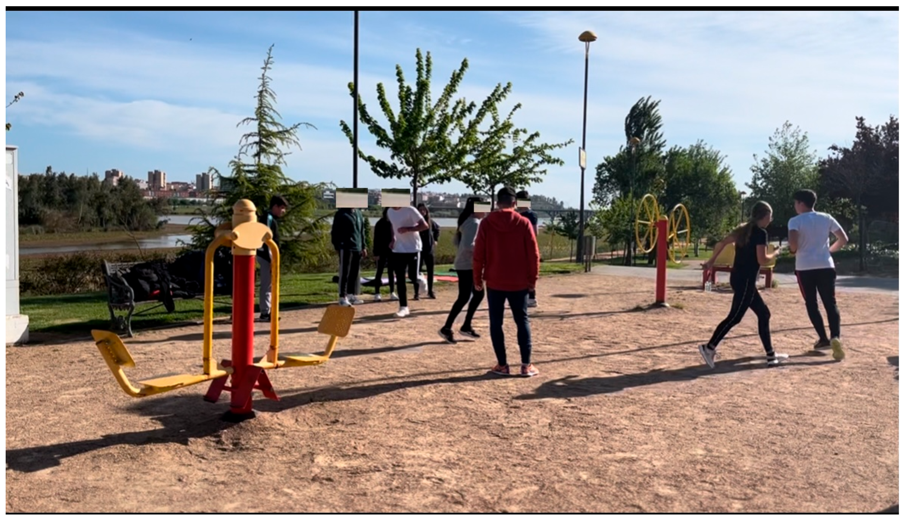 Muscles 04 00021 g001