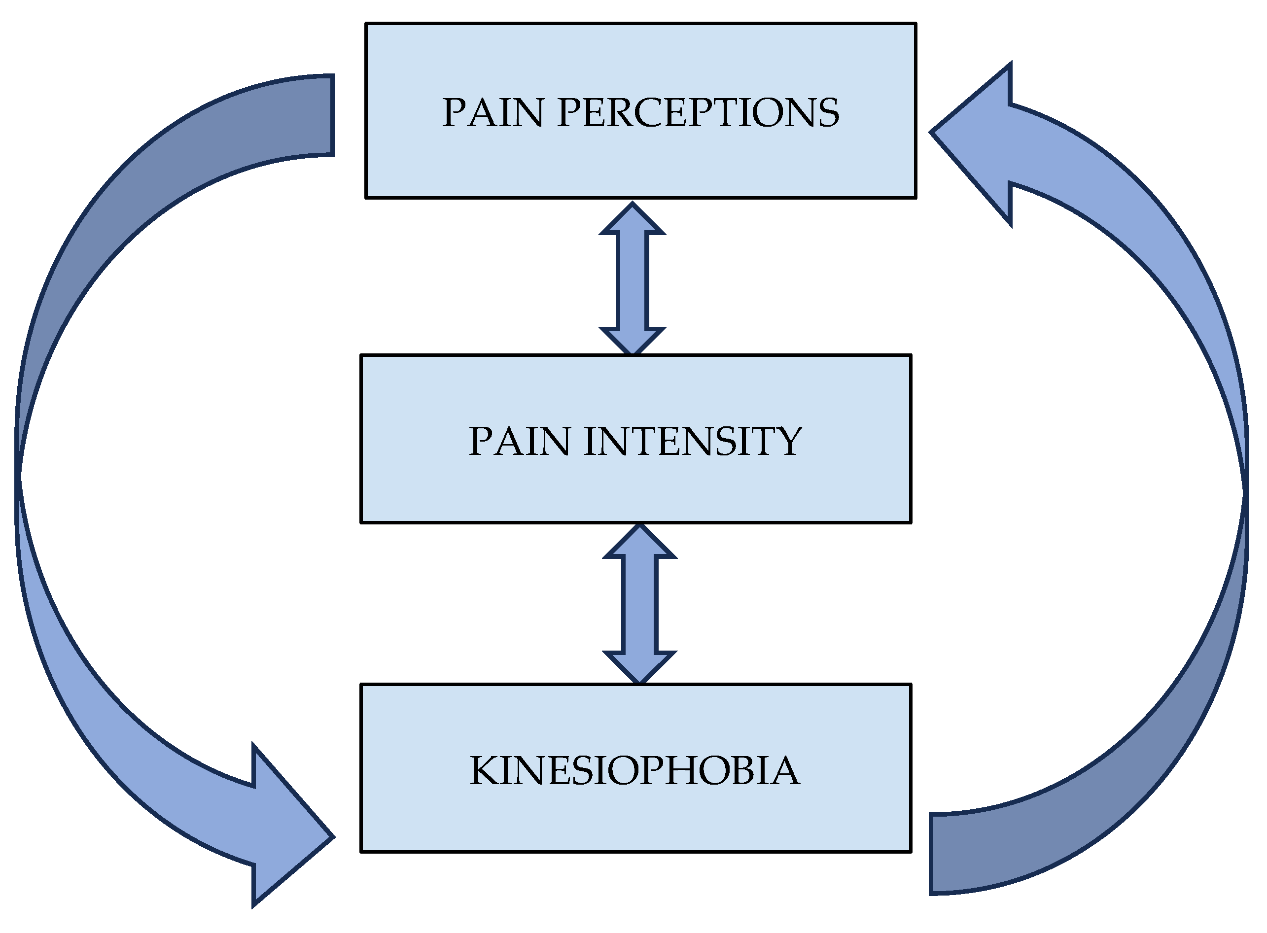 Muscles 04 00027 g001
