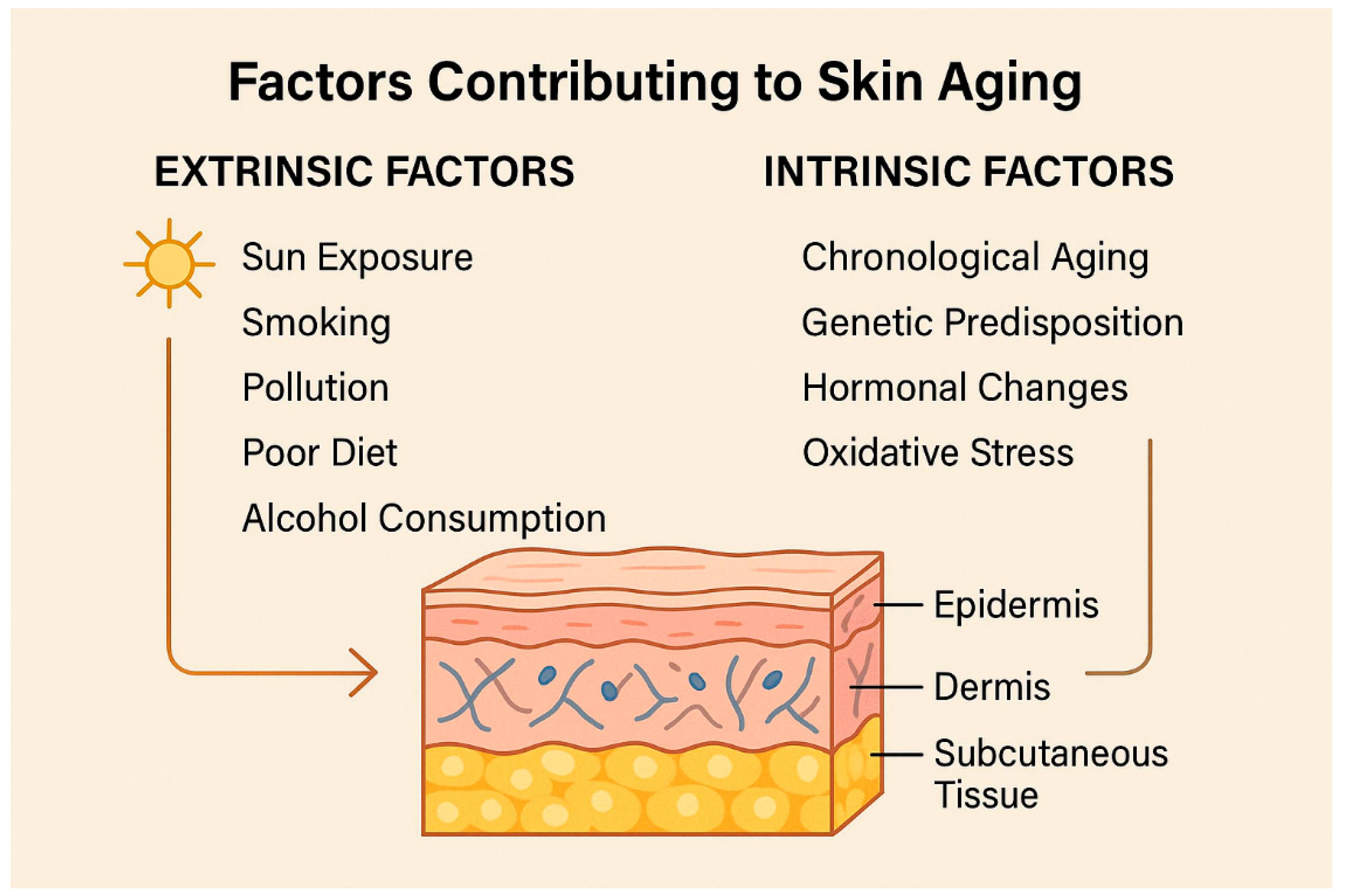Muscles 04 00031 g002