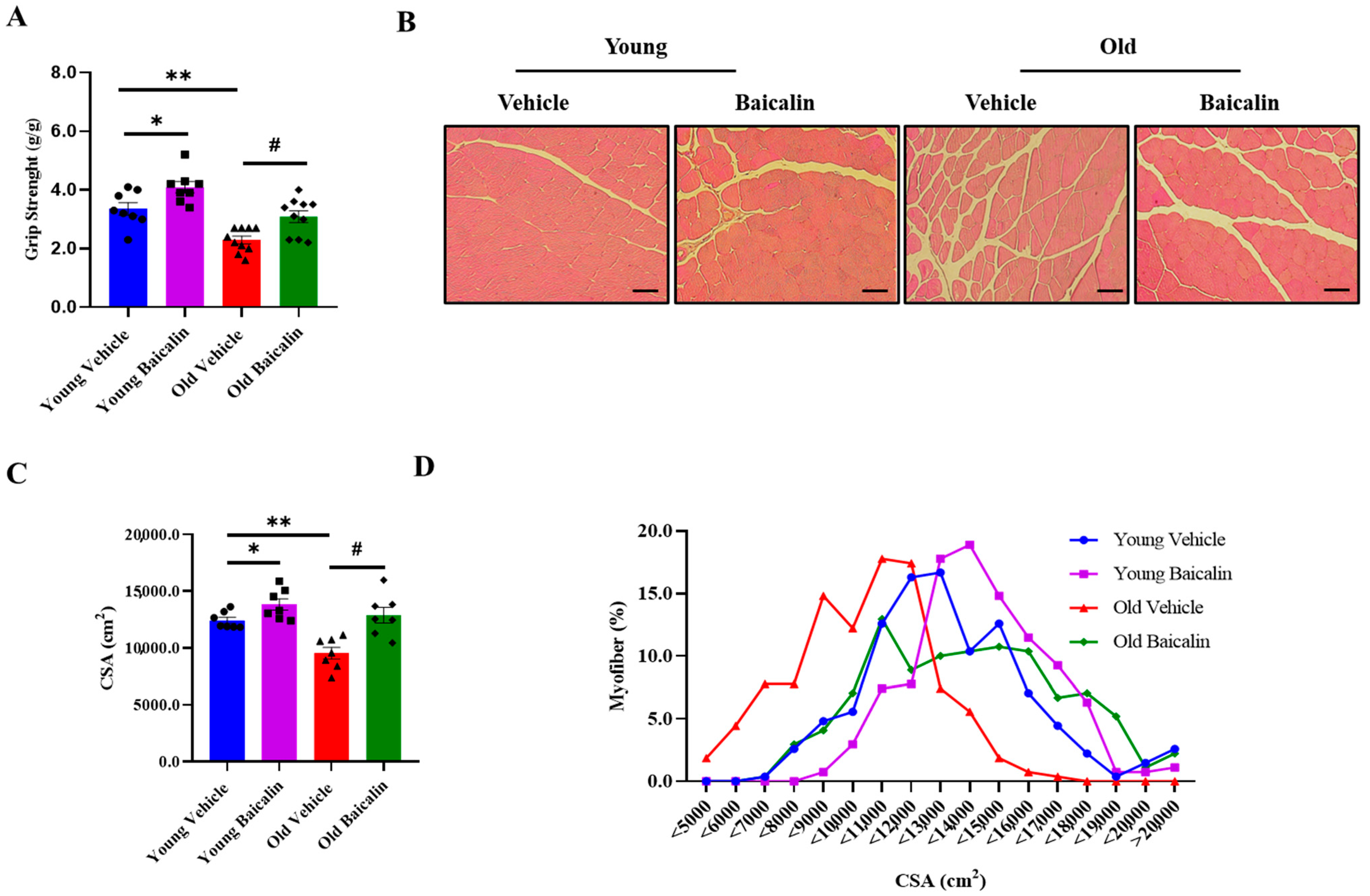 Muscles 04 00035 g002