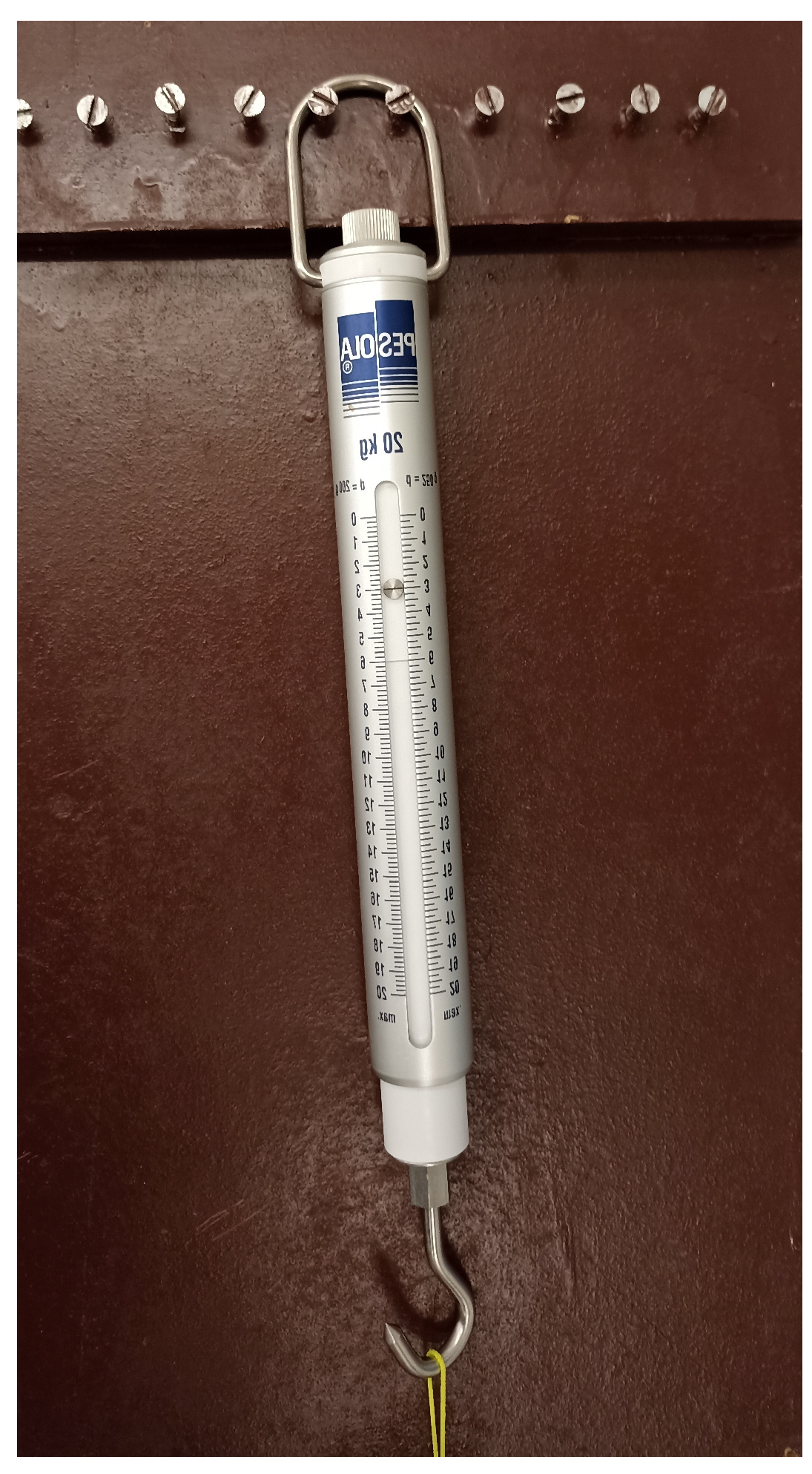 Muscles 04 00039 g002