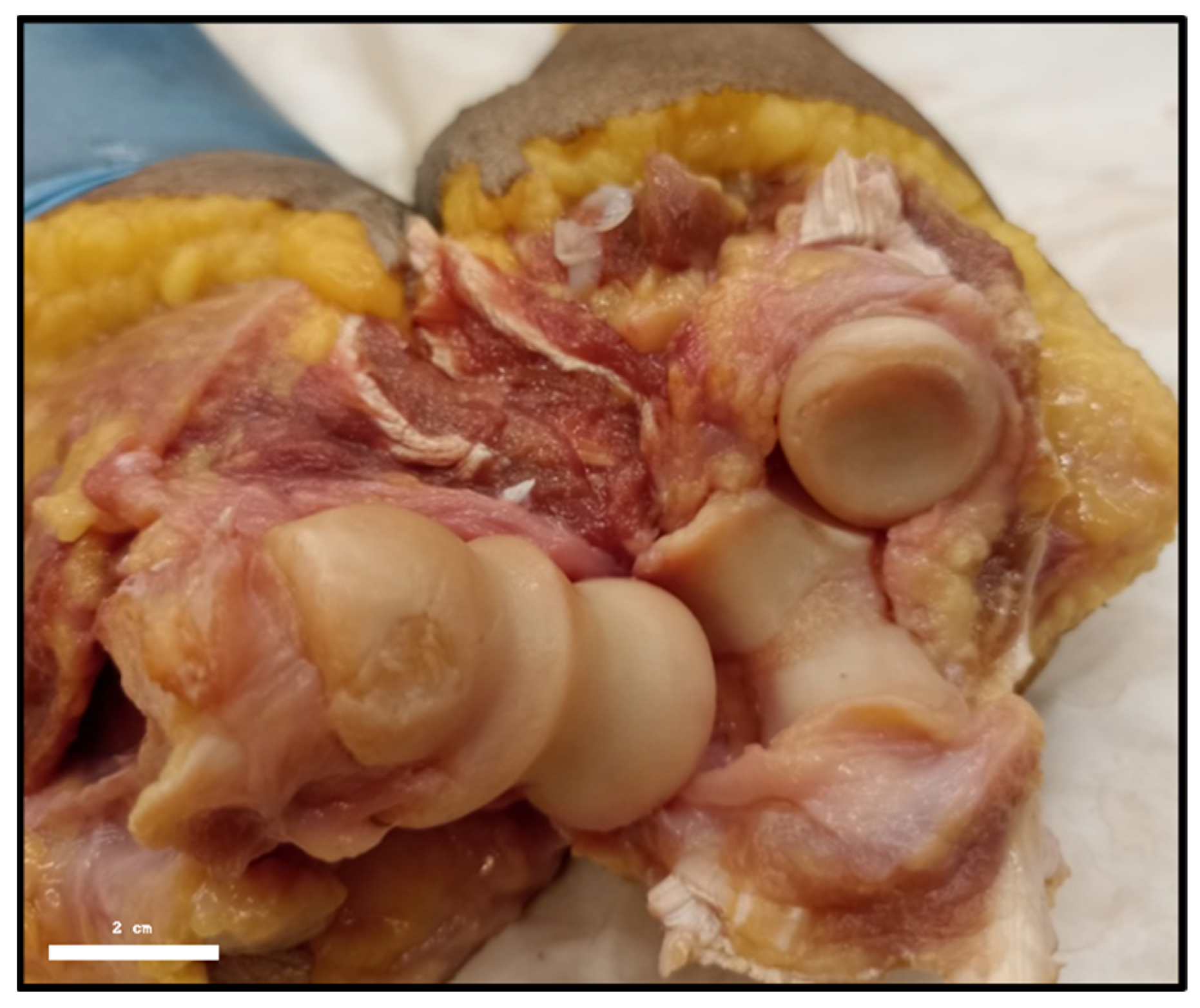 Muscles 04 00039 g003