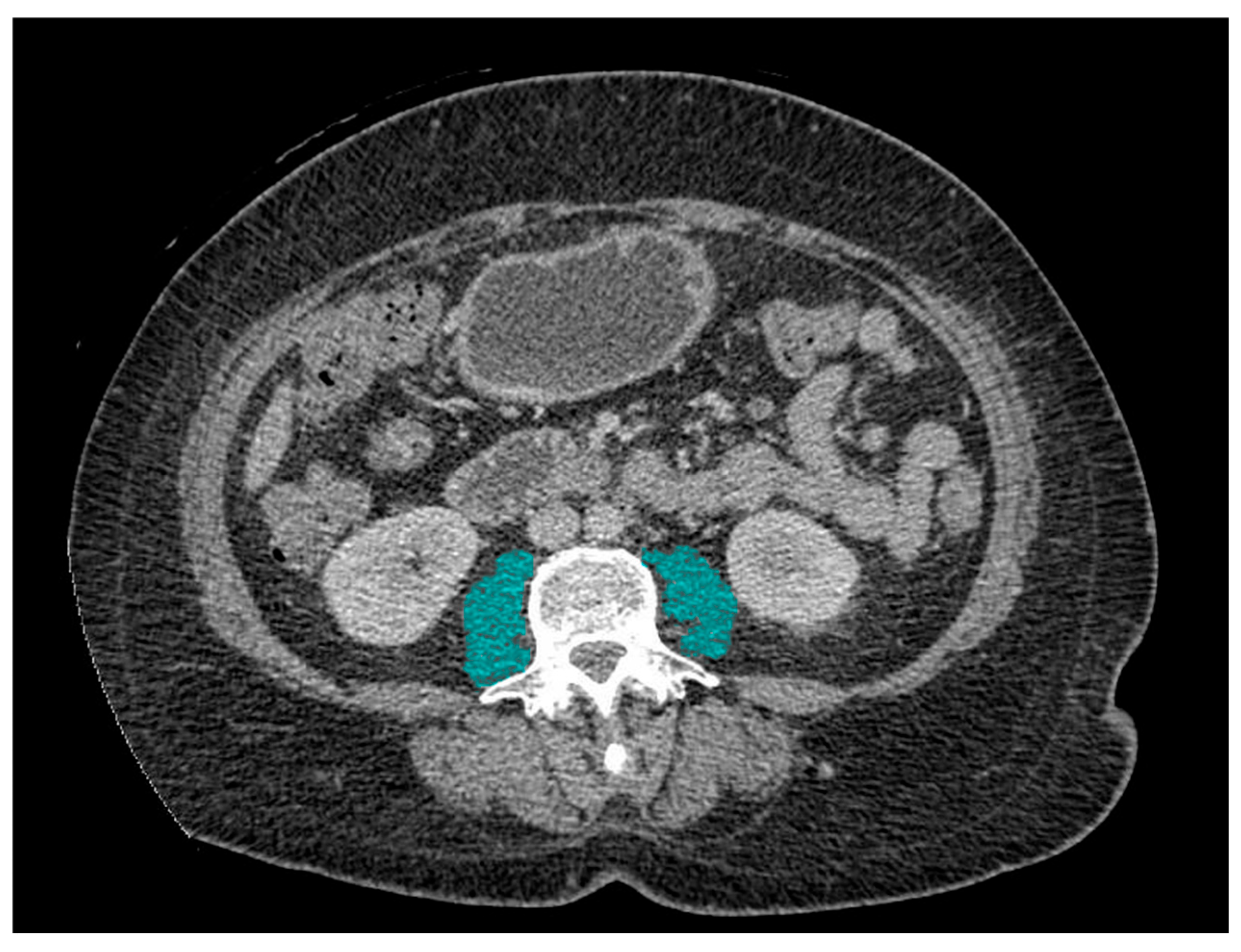 Muscles 04 00041 g001 Muscles 04 00041 g001