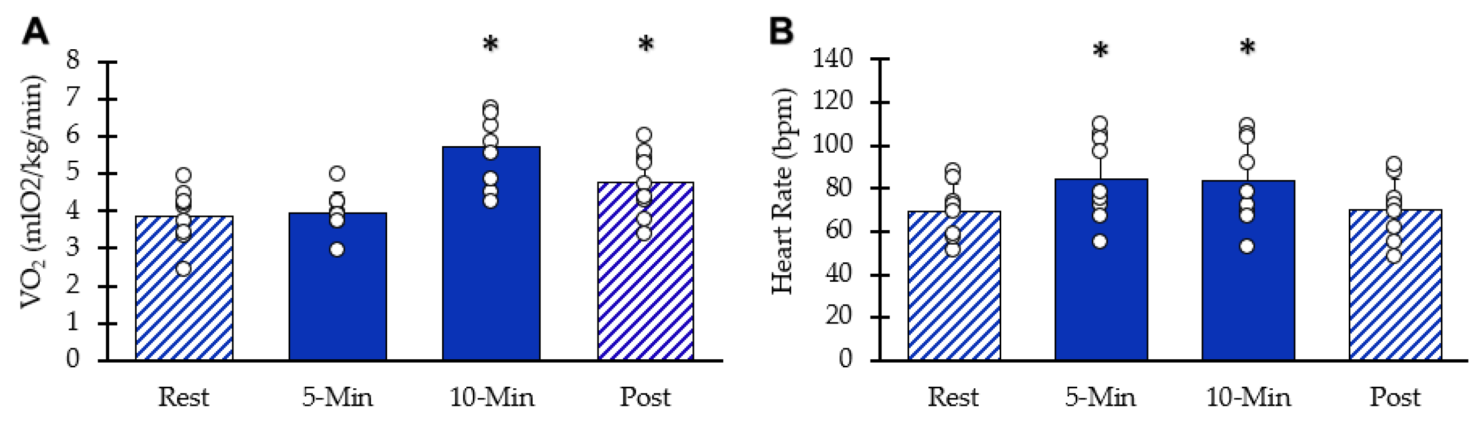Muscles 05 00010 g003 Muscles 05 00010 g003