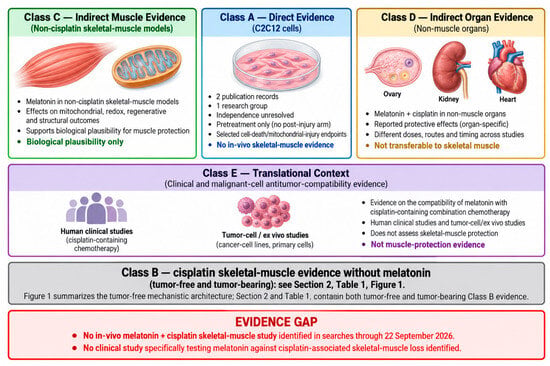 Muscles 05 00076 g003