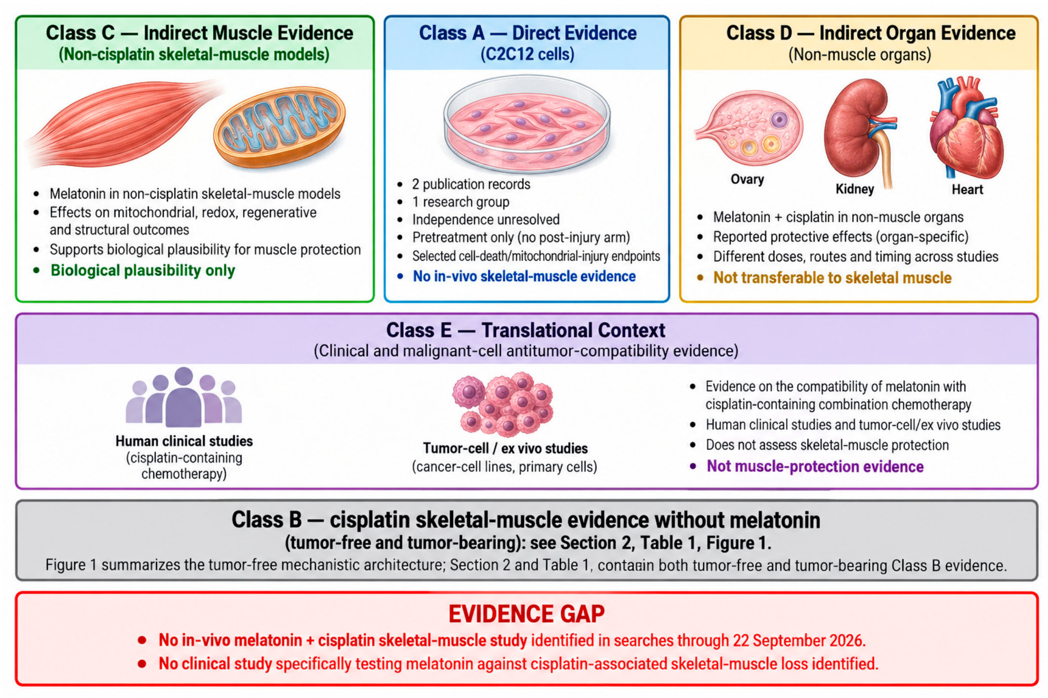 Muscles 05 00076 g003 Muscles 05 00076 g003