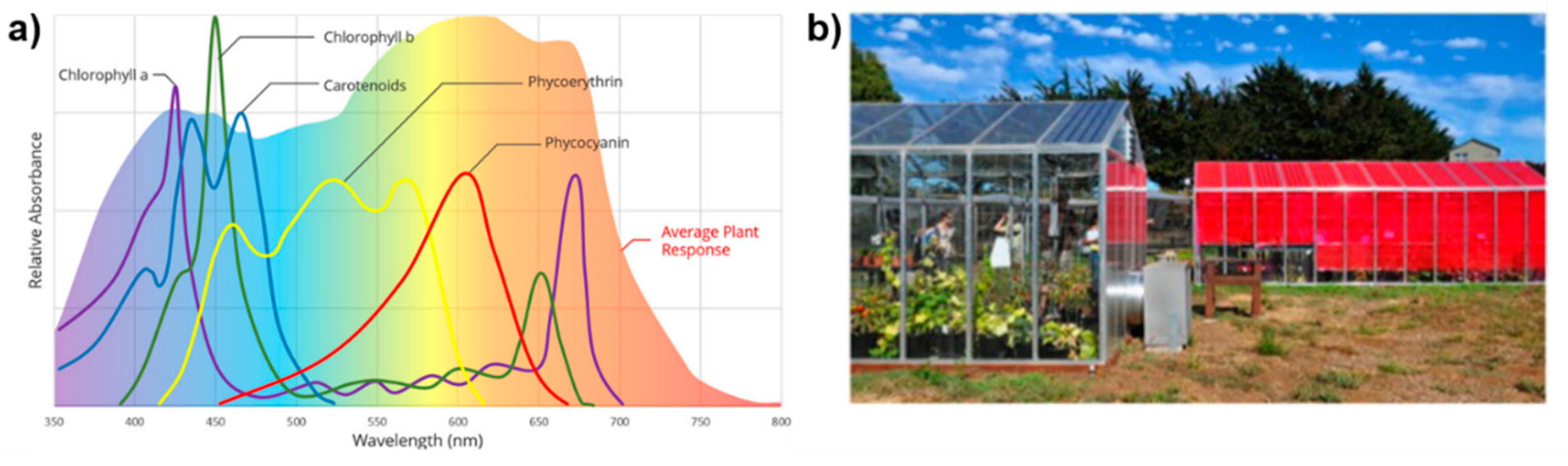 Nanoenergyadv 02 00010 g005