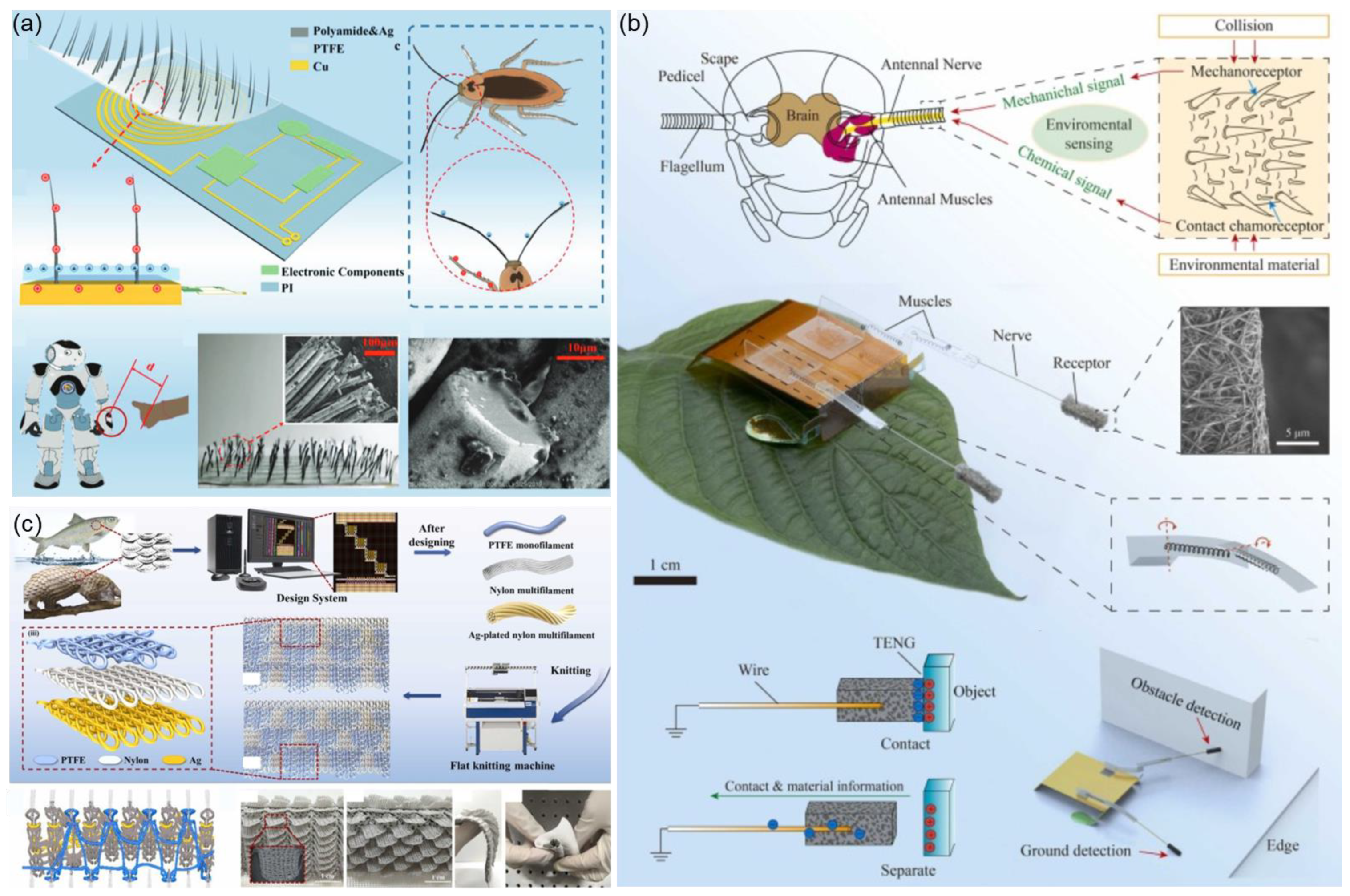 Nanoenergyadv 04 00003 g004