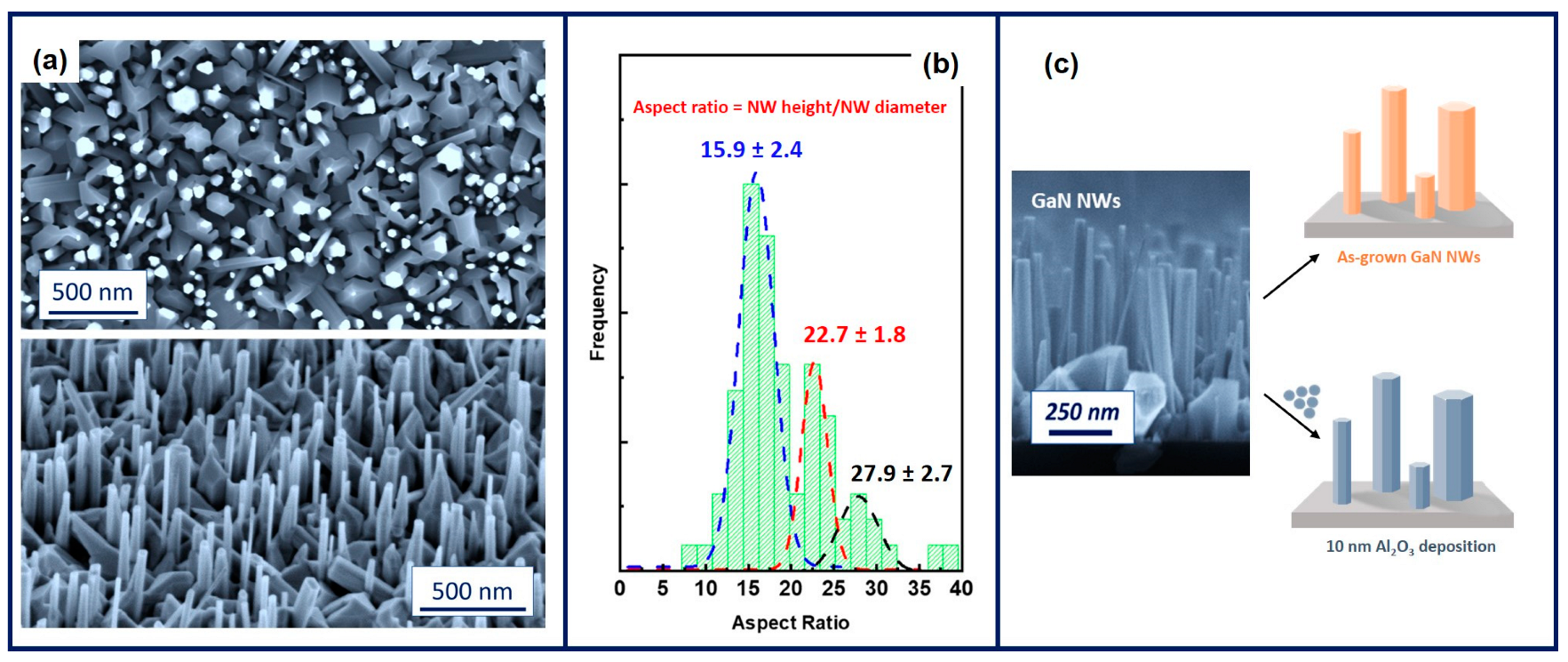 Nanoenergyadv 04 00008 g001 Nanoenergyadv 04 00008 g001