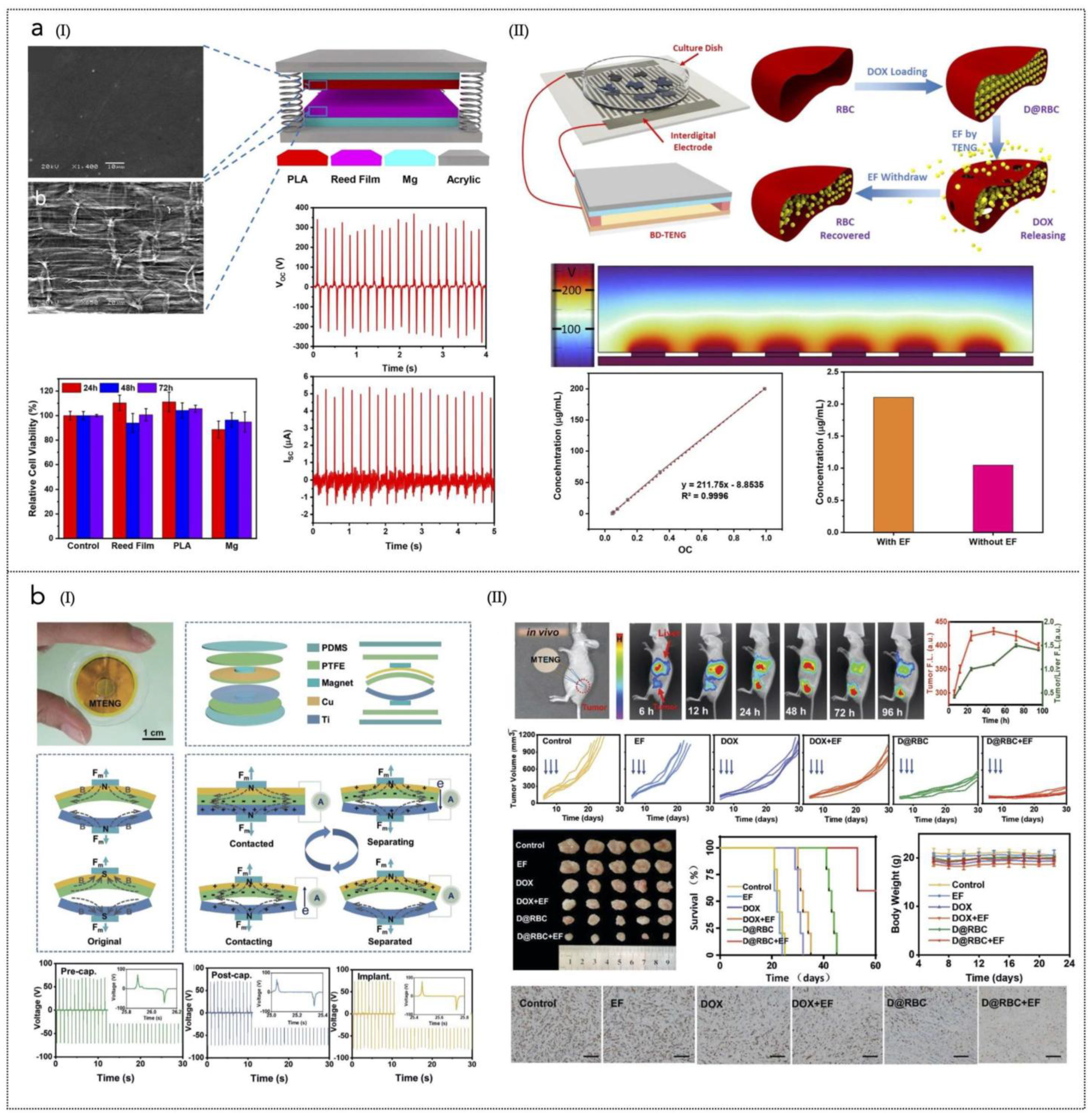 Nanoenergyadv 05 00004 g004