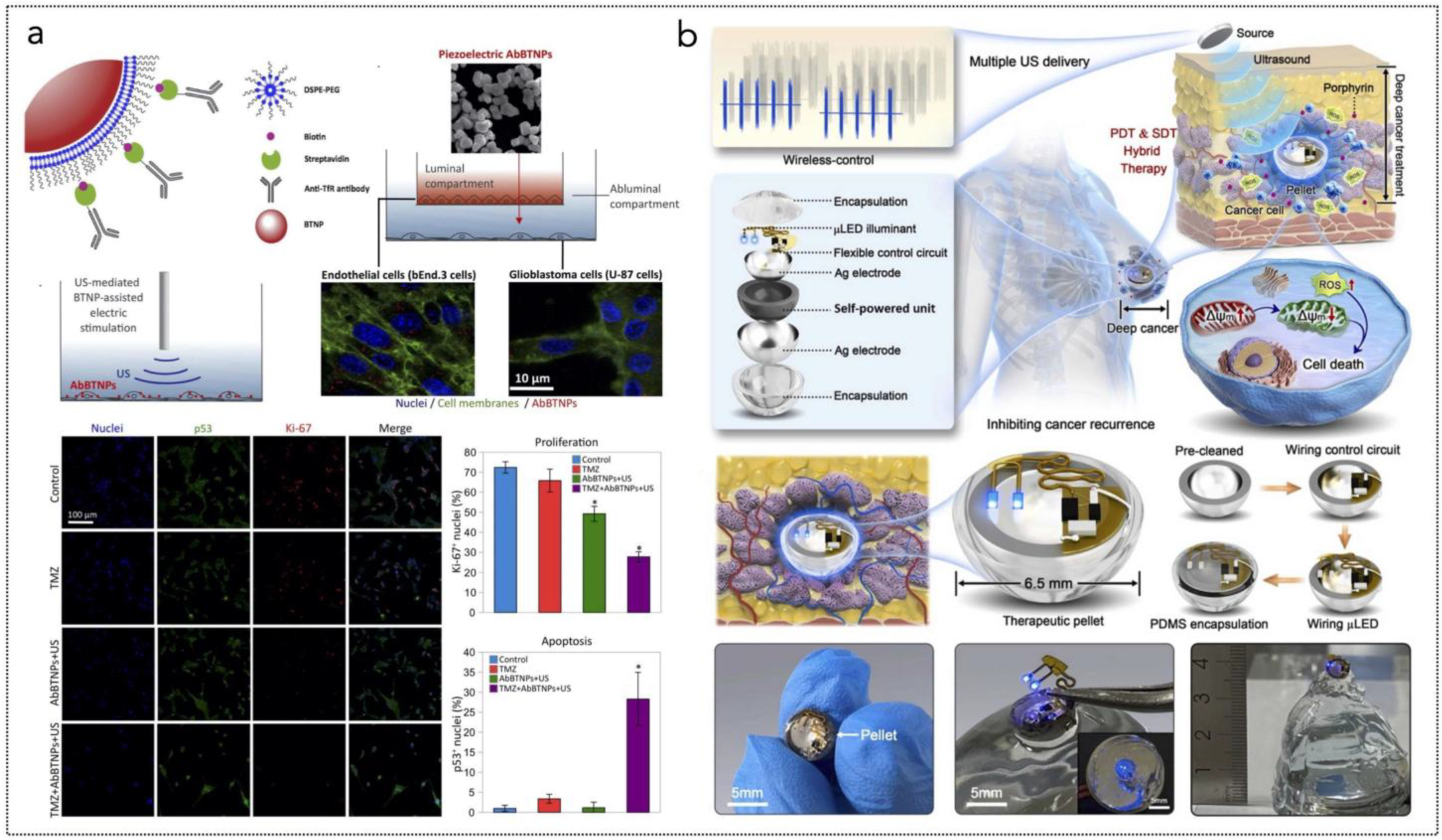 Nanoenergyadv 05 00004 g006