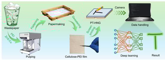 Structure and characterization of PT-HNG. (a) Flowchart of synthesizing PT-HNG. (b) SEM and EDS images of cellulose-PEI film with 1.5 wt% PEI content. (c) Dielectric constant of cellulose-PEI films with different mass ratios of PEI.