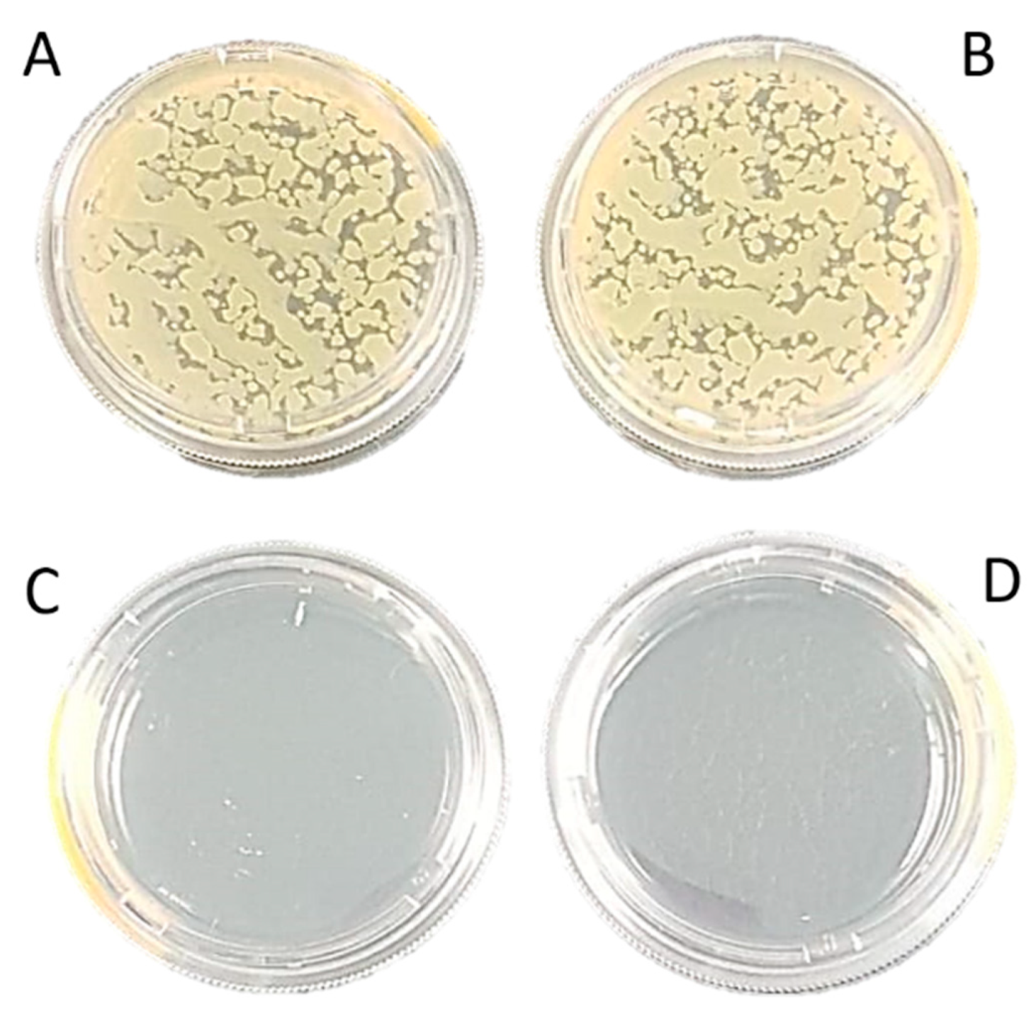 Nanomanufacturing 01 00006 g006 Nanomanufacturing 01 00006 g006